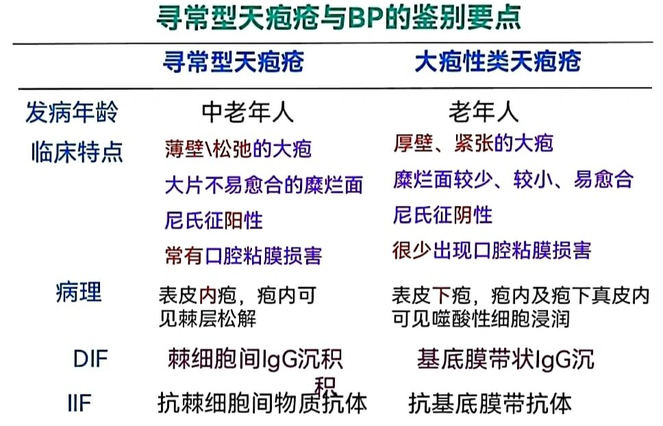 皮肤性病学—大疱性类天疱疮及与天疱疮区别
