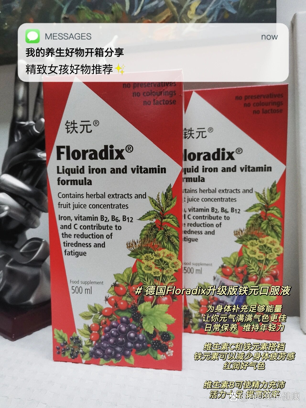 德国floradix铁元