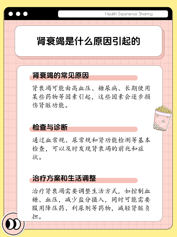 揭秘肾衰竭:是什么原因让肾"累垮"了?
