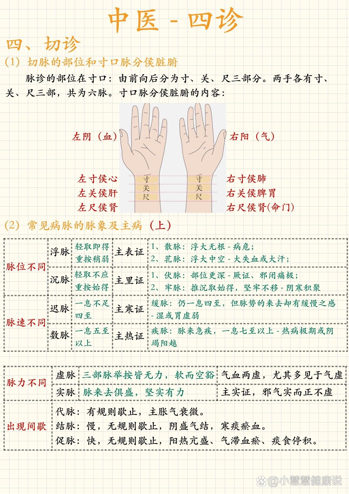 左手寸关尺图片