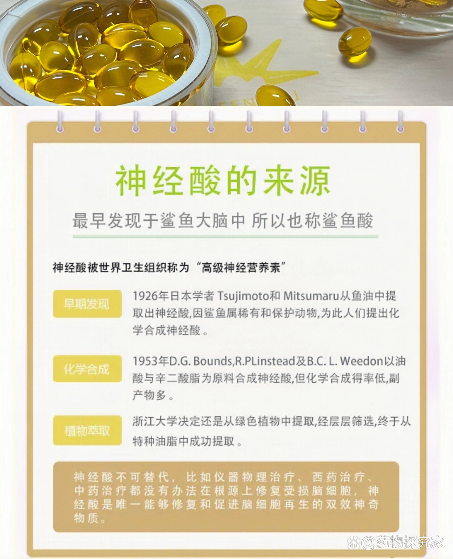 金枫露科普:什么是神经酸?