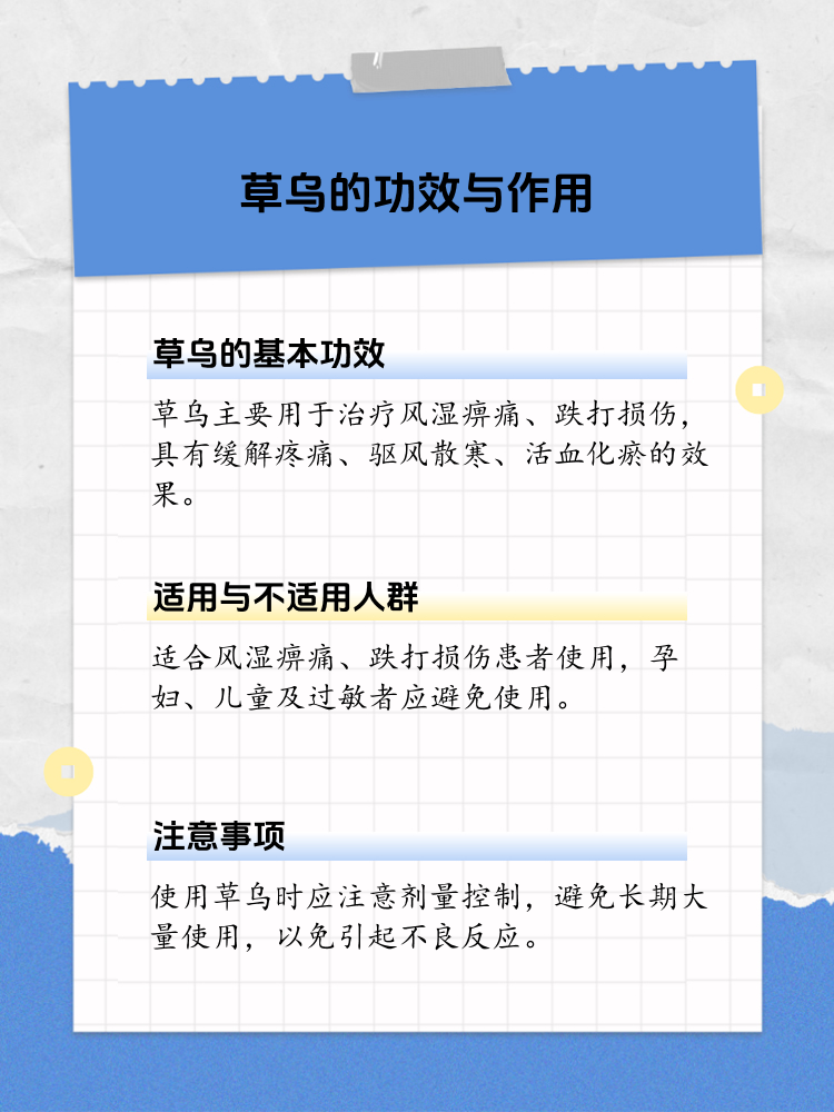 揭秘草乌的神秘面纱:功效与作用全解析