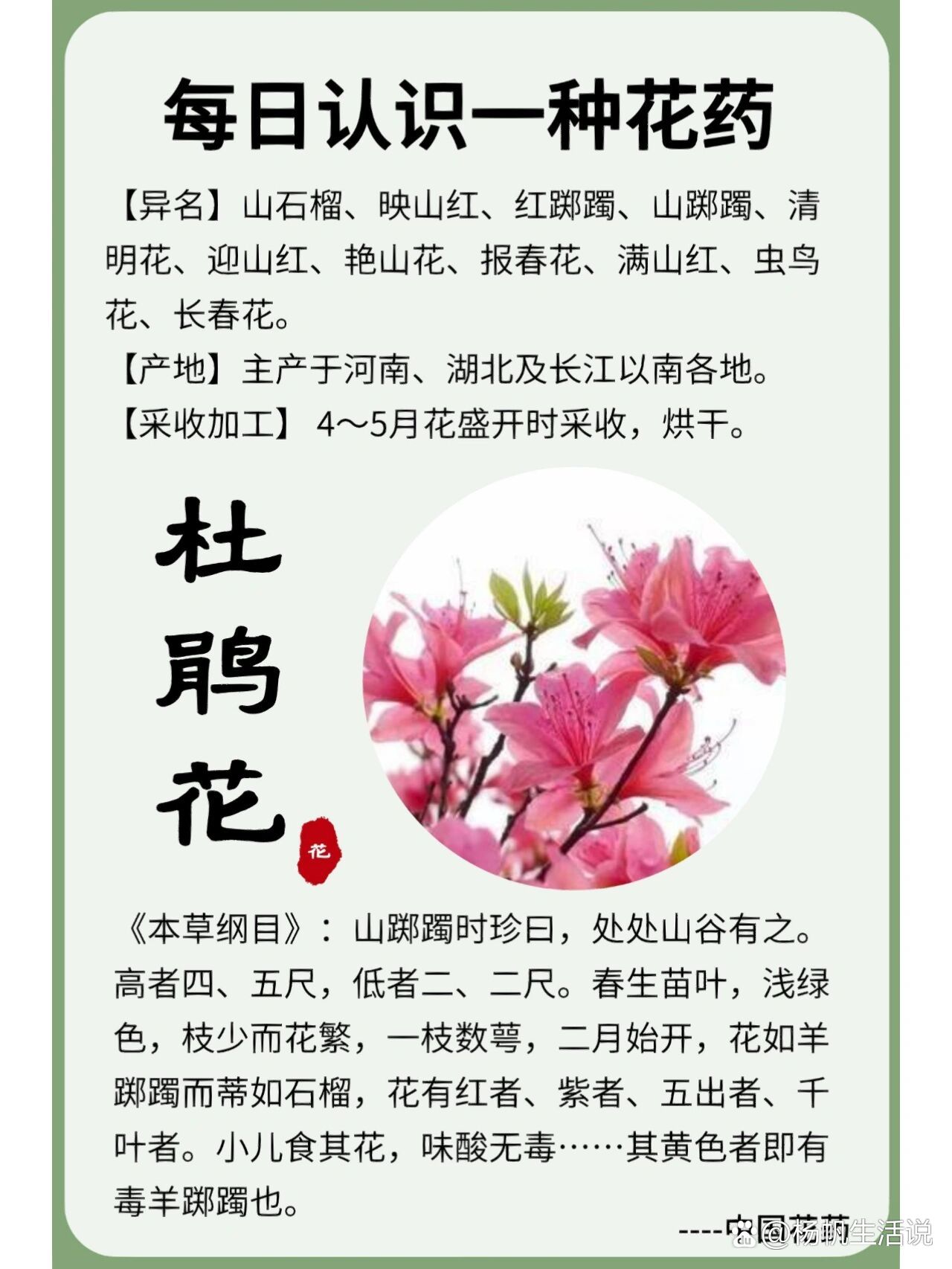 杜鹃为什么叫子规