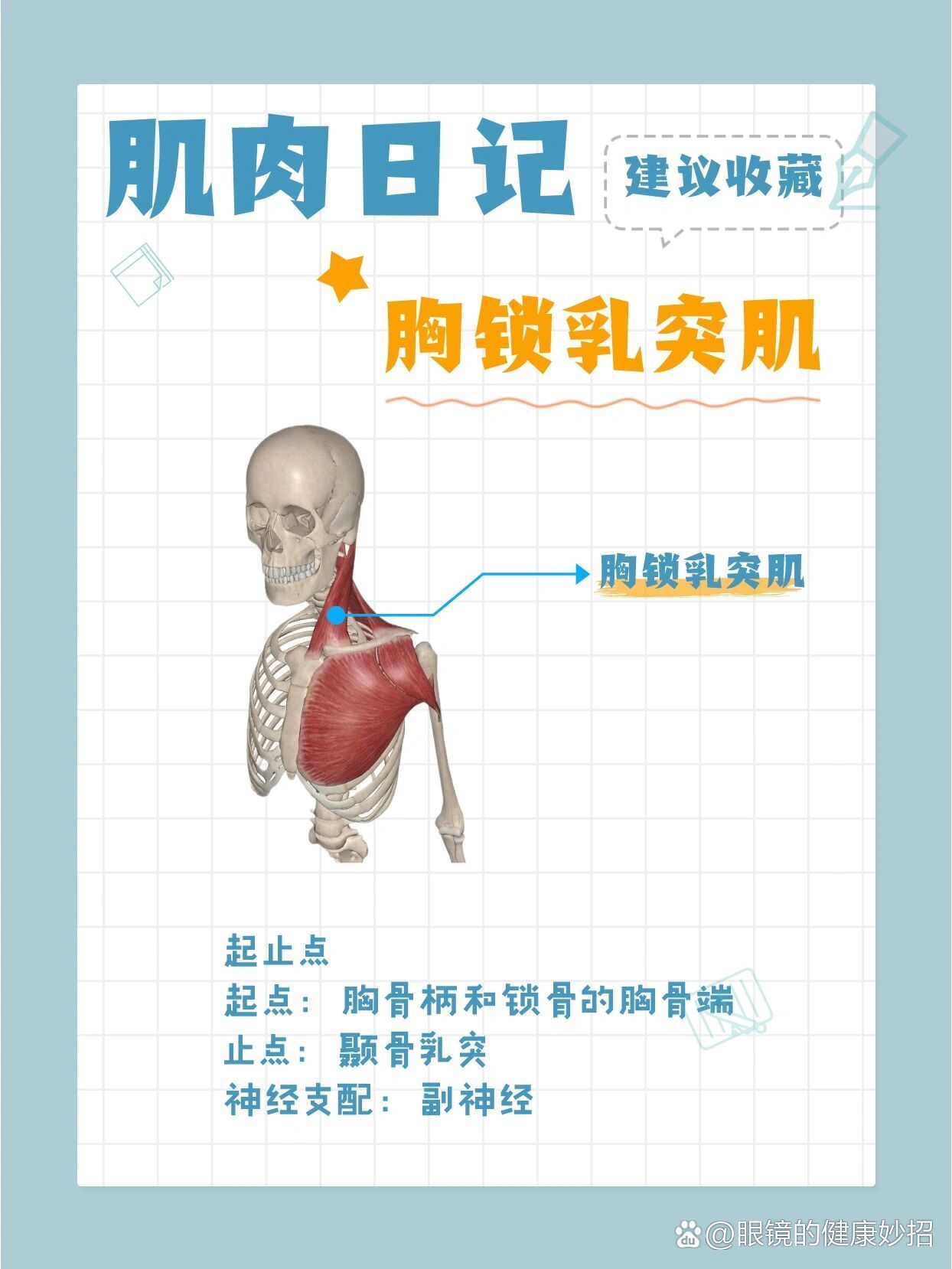 胸锁乳突肌增厚图片