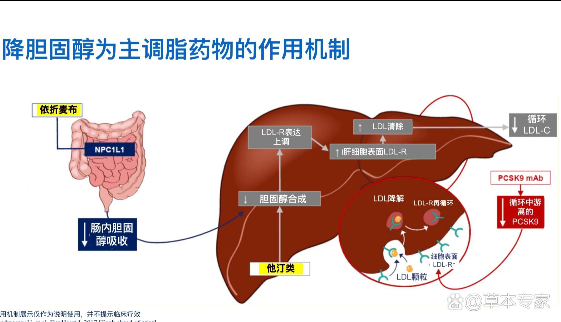 依折麦布降脂幅度图片