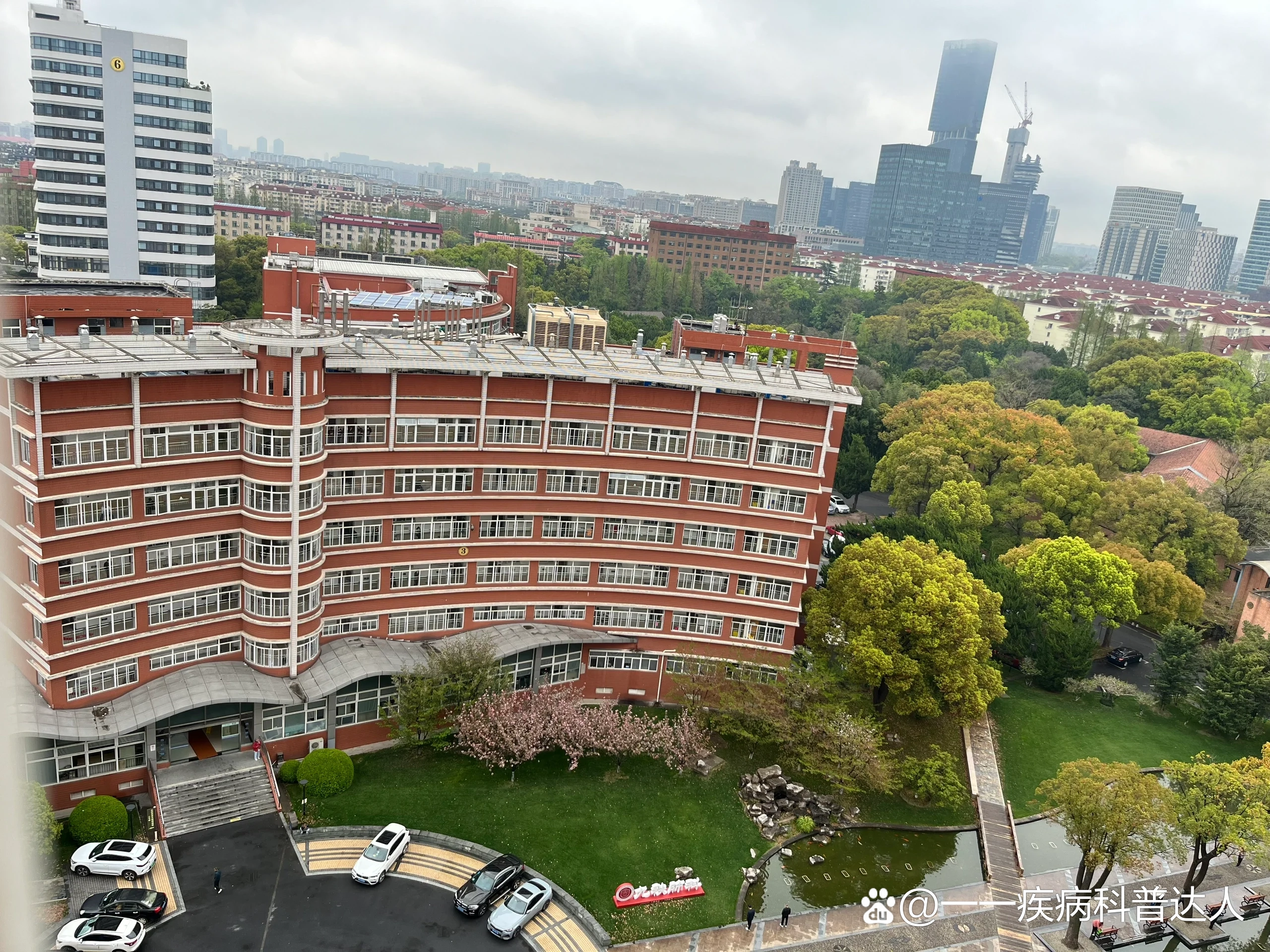 上海肺科医院地址图片