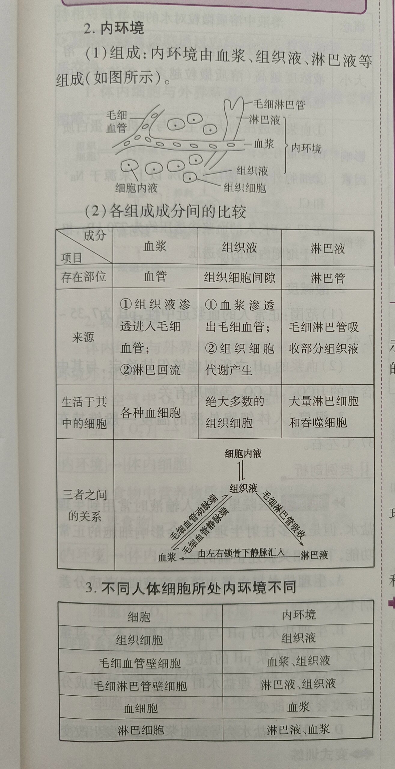 内环境成分转化示意图图片