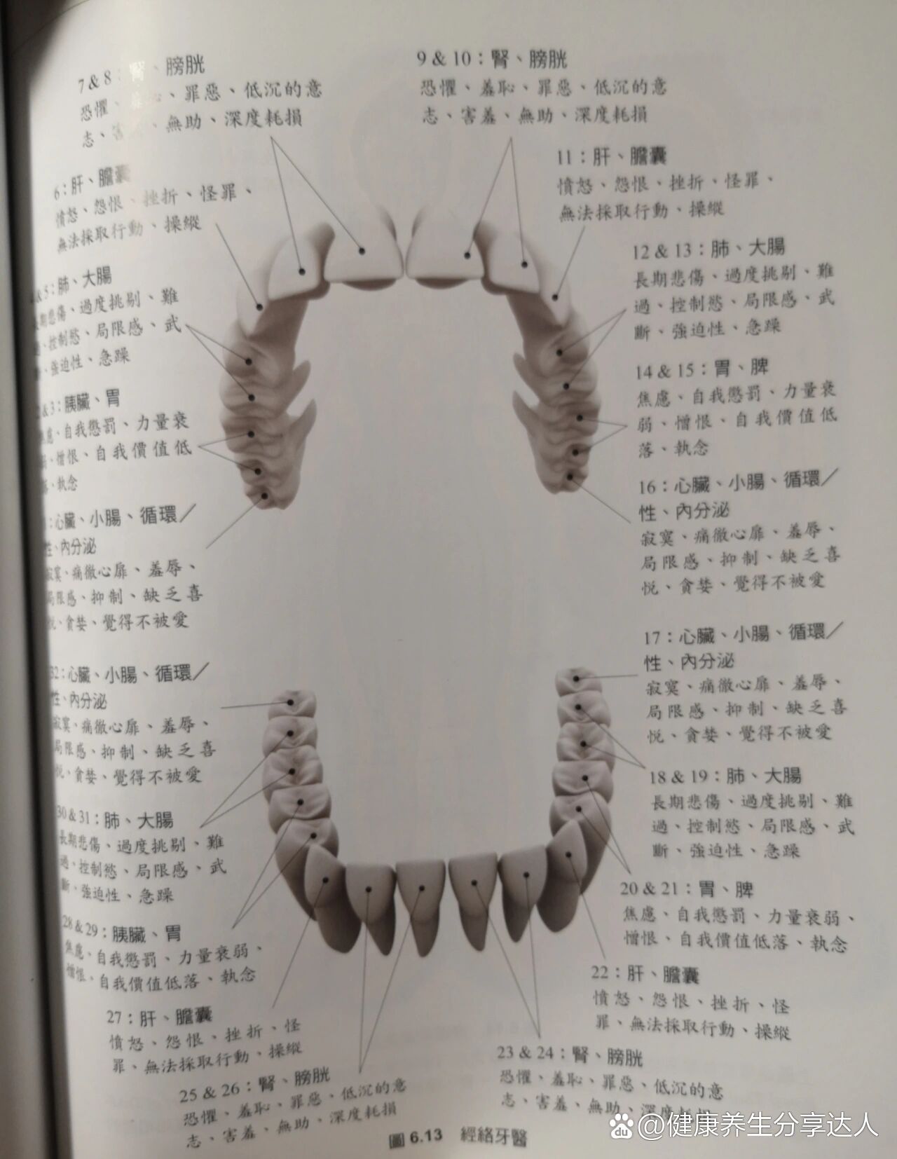 经络牙齿解密:叩齿法,补肠胃后天之气