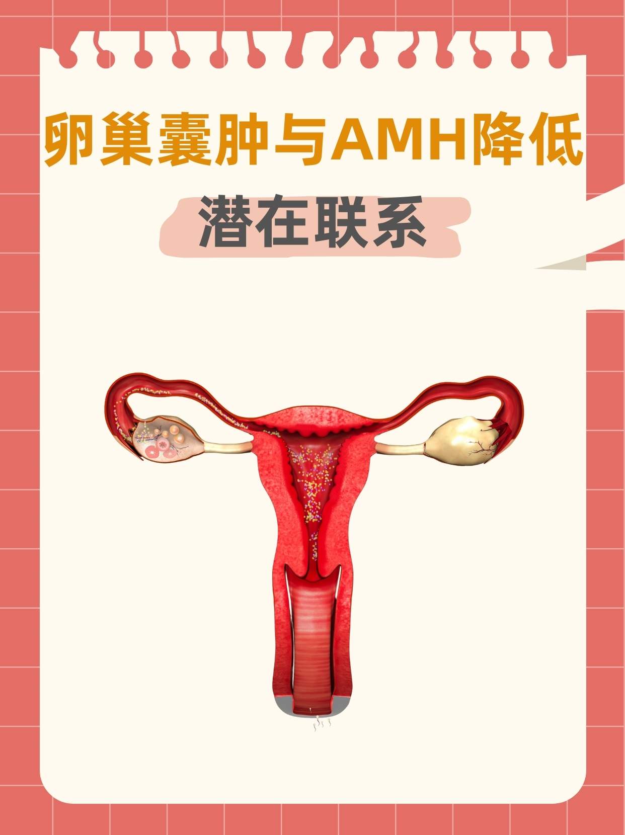 amh怎么降下来_amh高怎么降下来