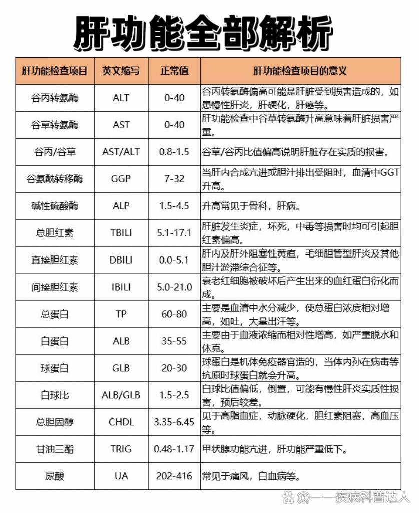 肝功能分级标准最新图片