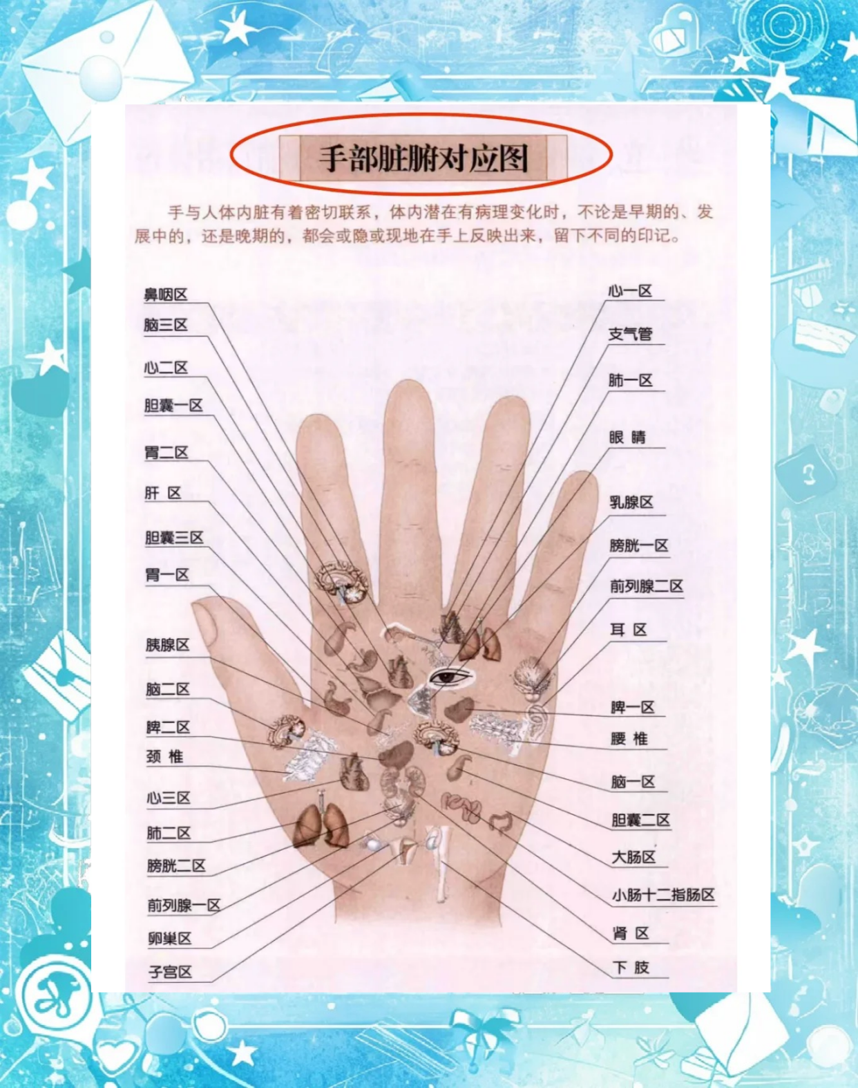 中医手诊：揭秘手掌与健康的秘密