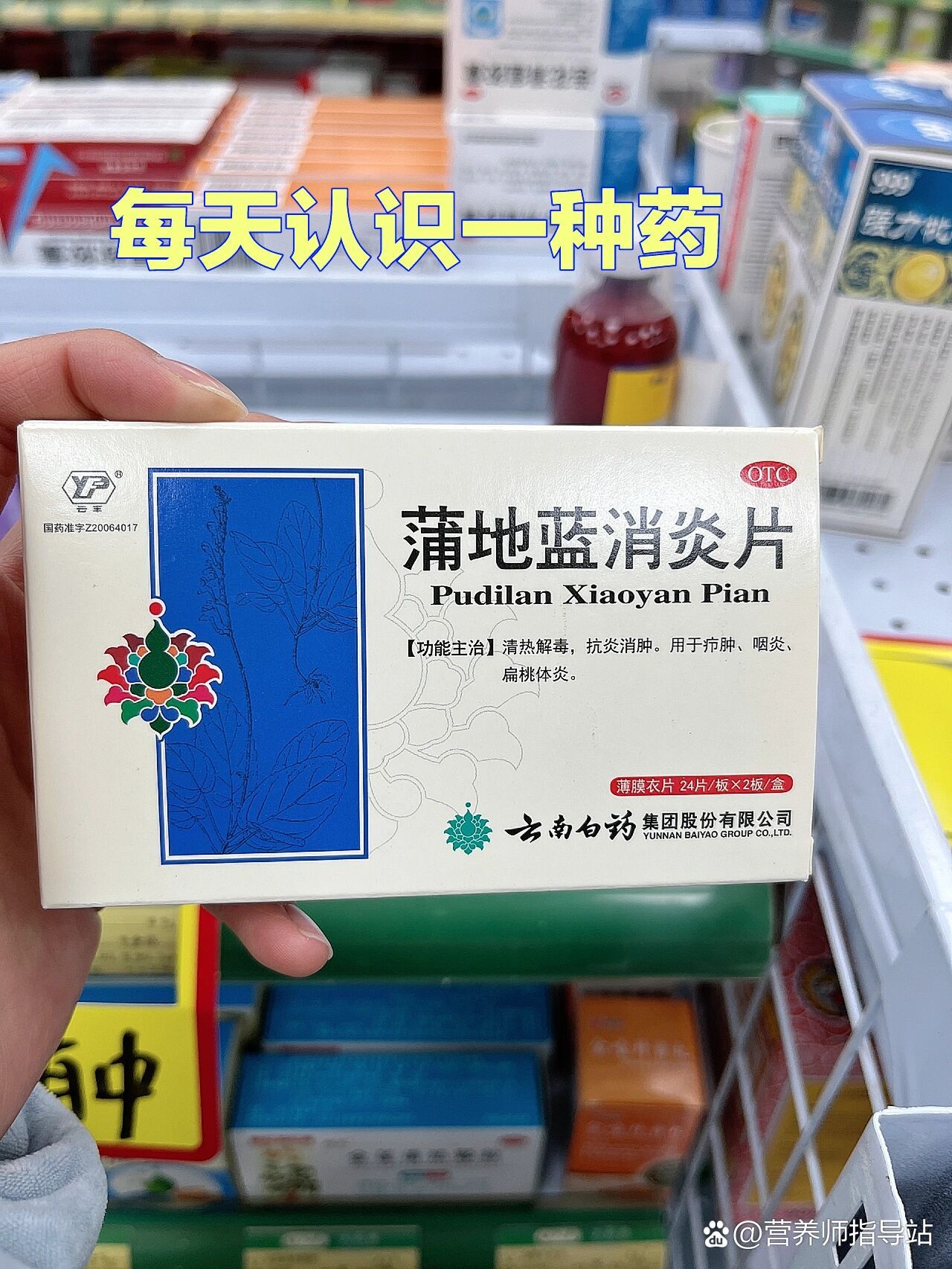 蒲地蓝消炎片厂家图片