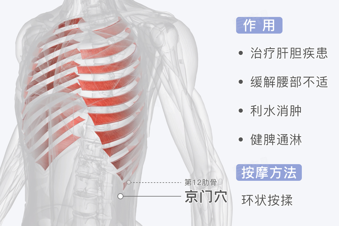 京门的准确位置和作用,按摩方法