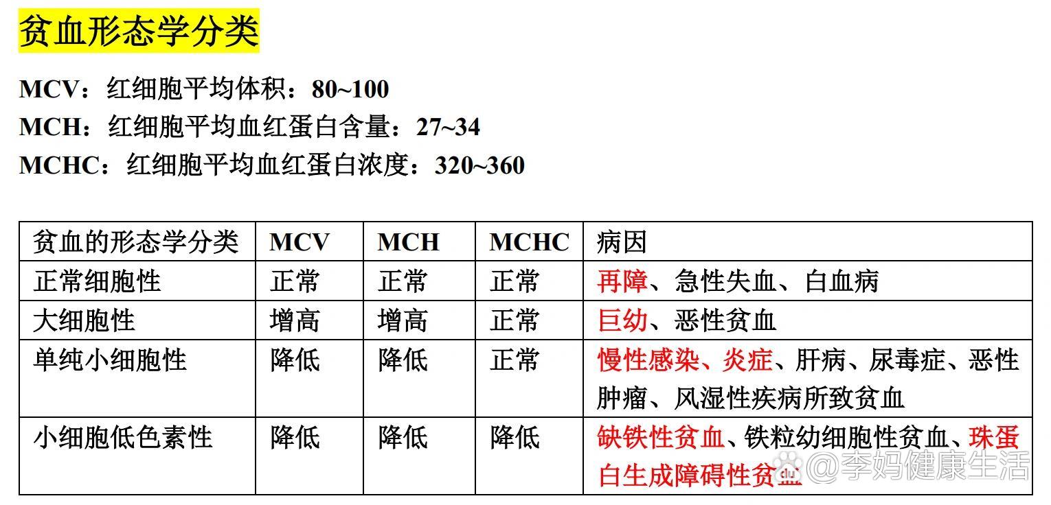 贫血分类图片