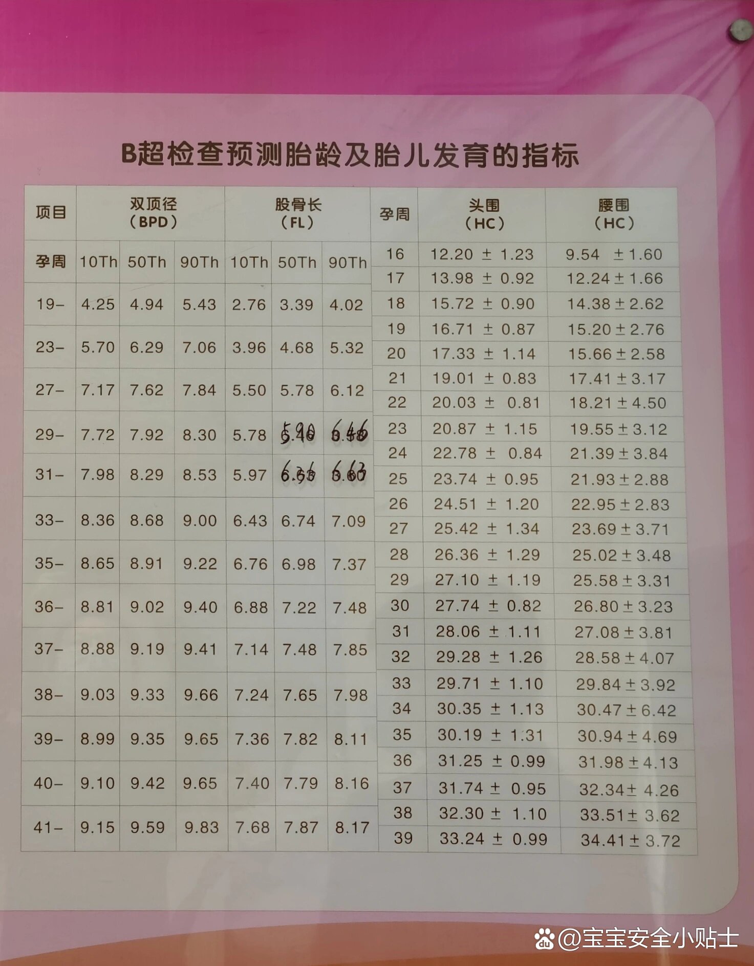 胎儿