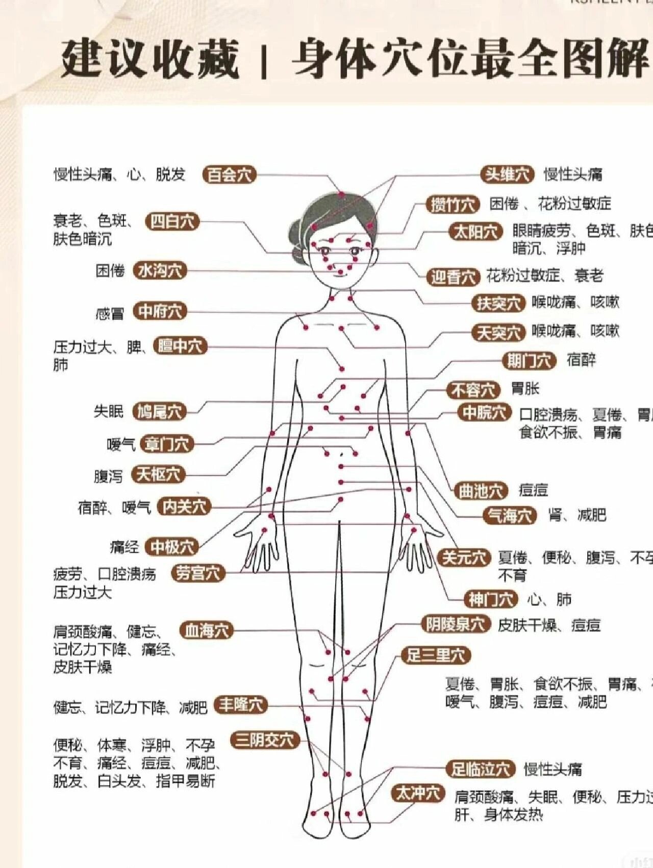 04人体最全穴位图