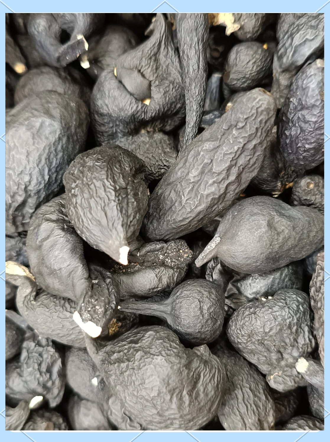 乌灵参的三种食用方法，你知道吗？