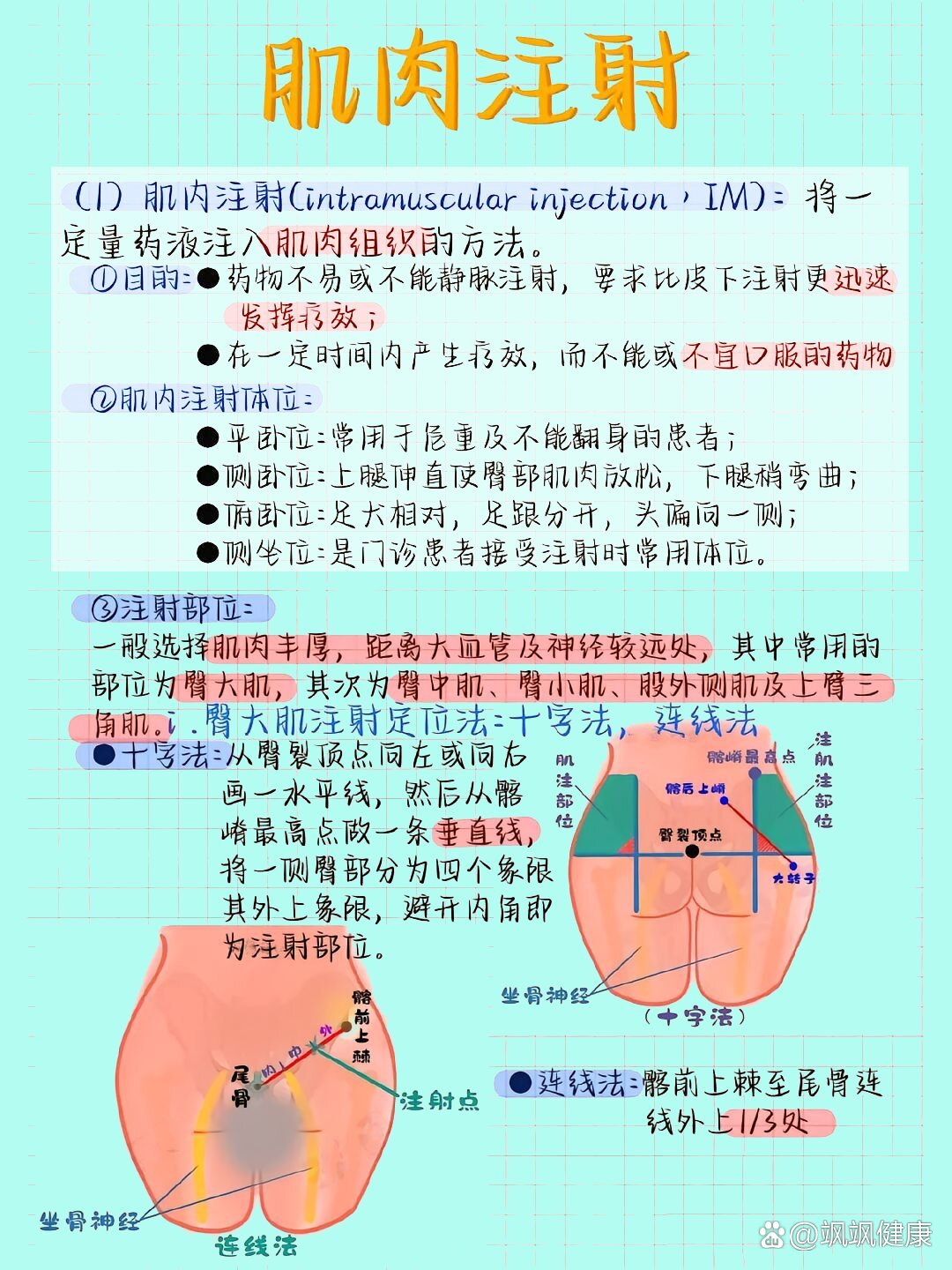 护理学基础 肌肉注射