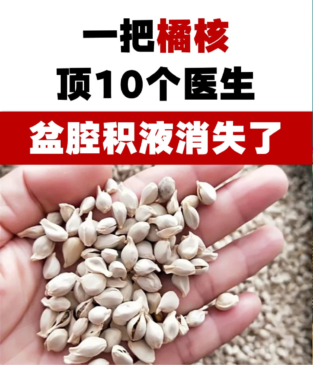 橘子浑身都是宝吐出来的橘核有大用