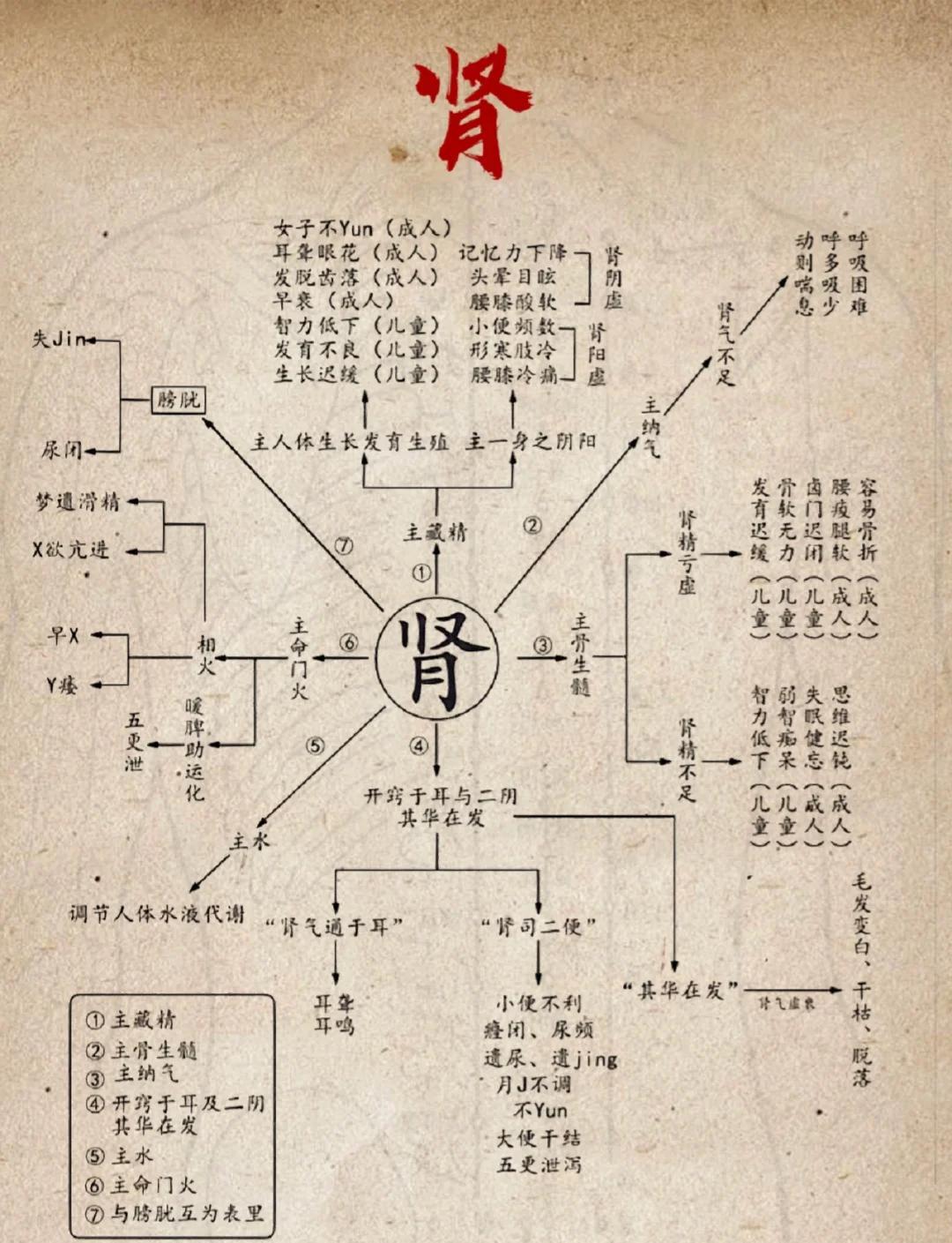 中医五脏五行学说图解