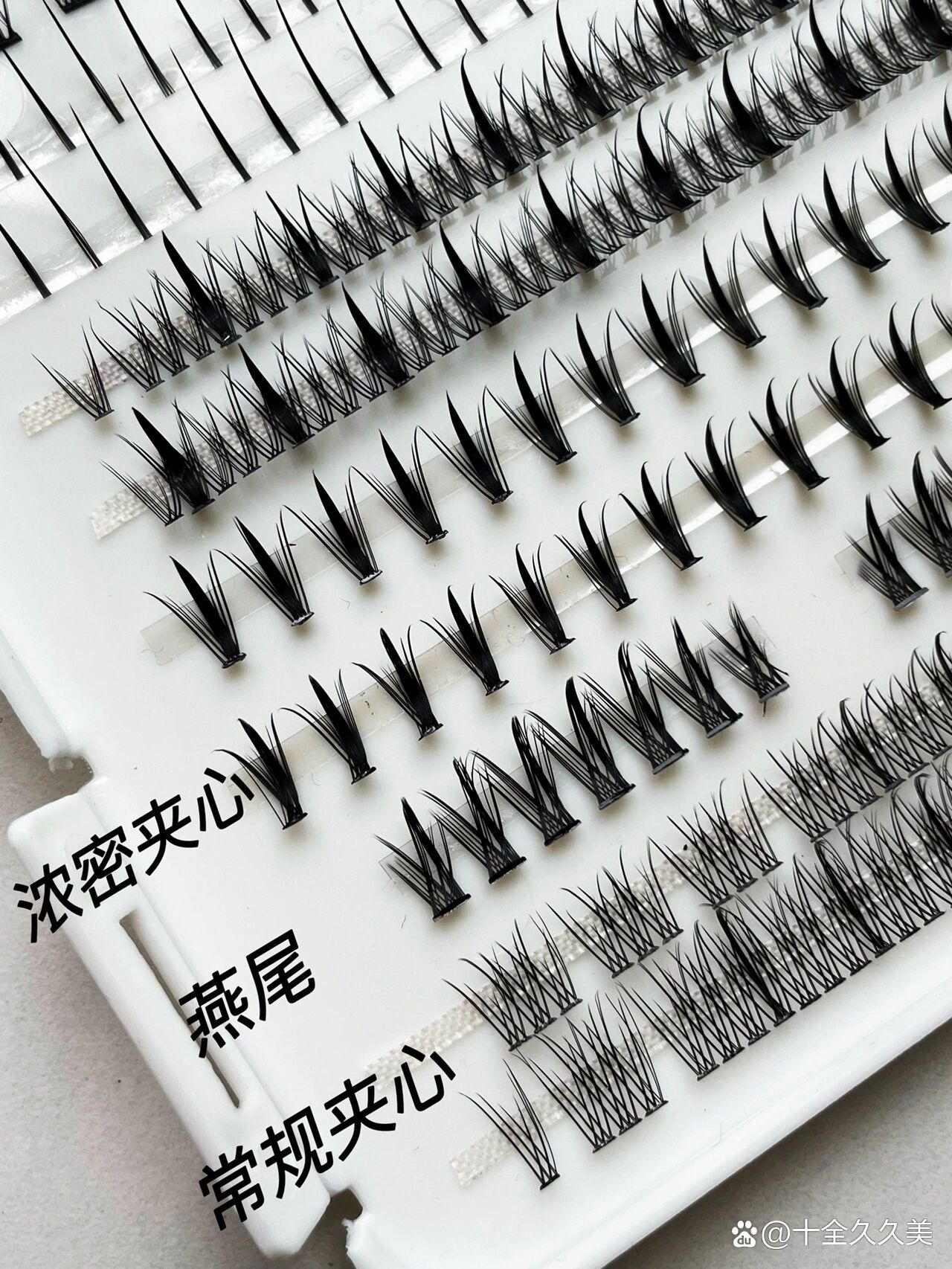 假睫毛种类大汇总|你最喜欢哪16615款?