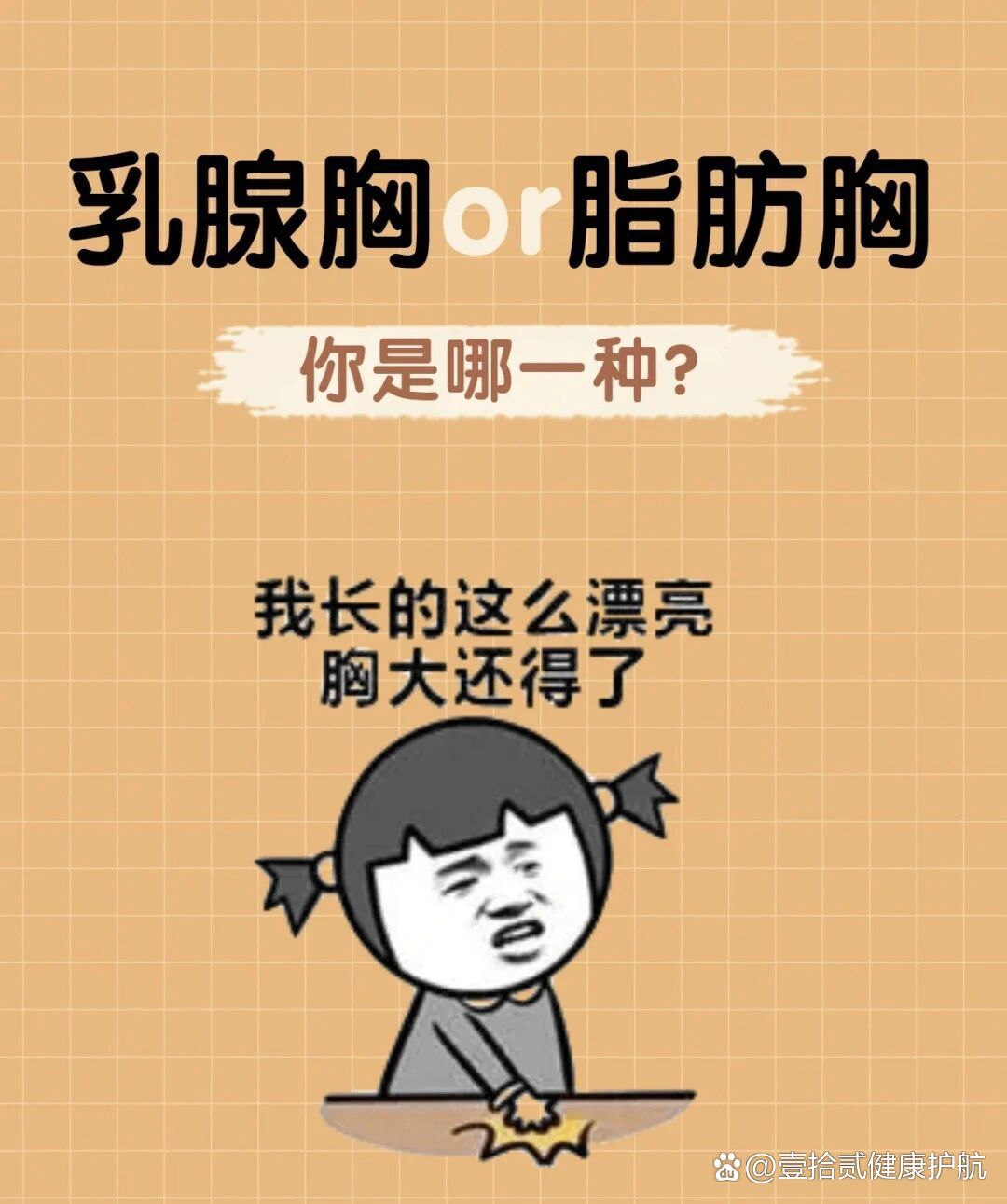 如何分辨乳腺胸&脂肪胸94