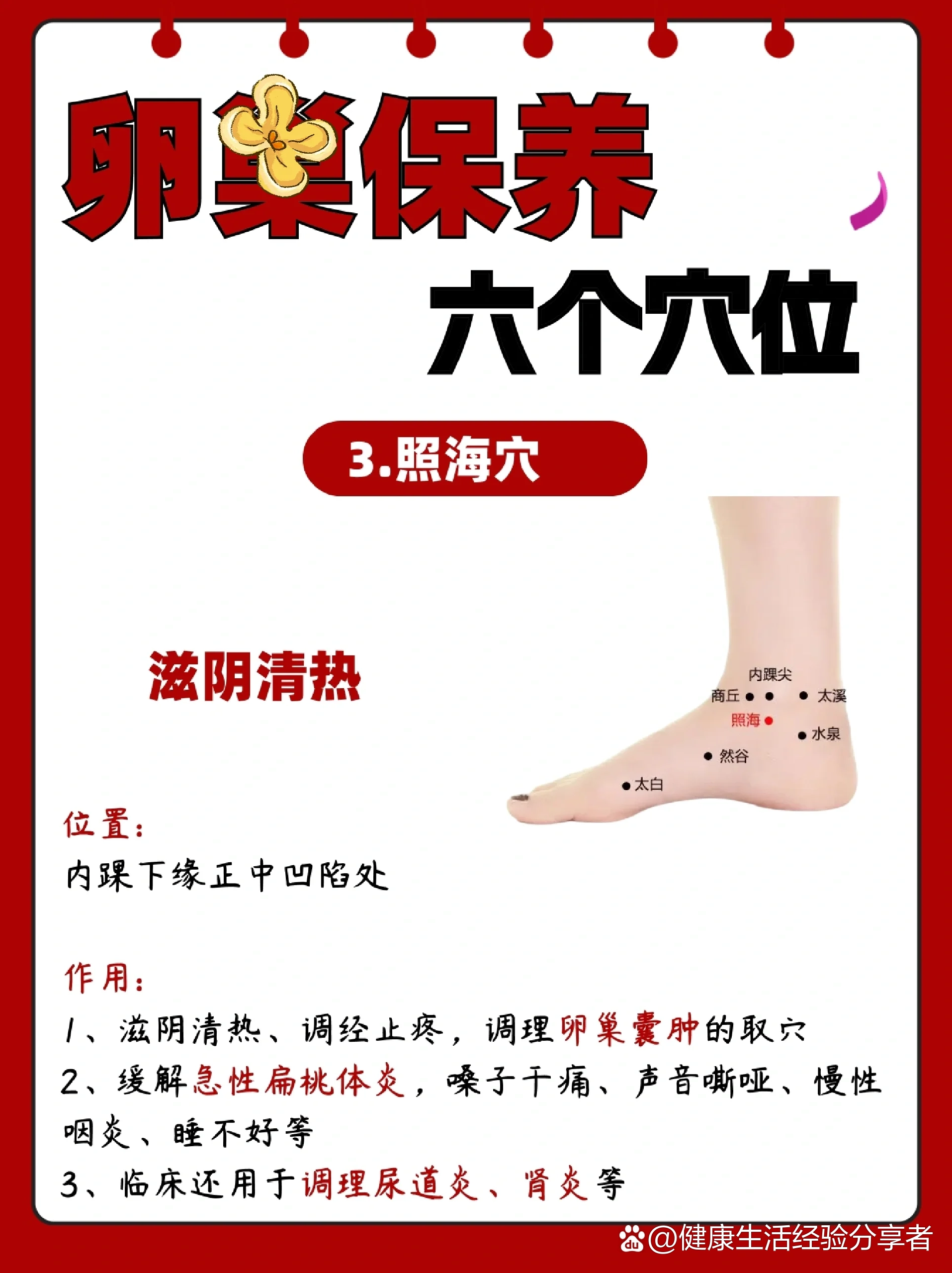 养护卵巢73保养六个穴位!