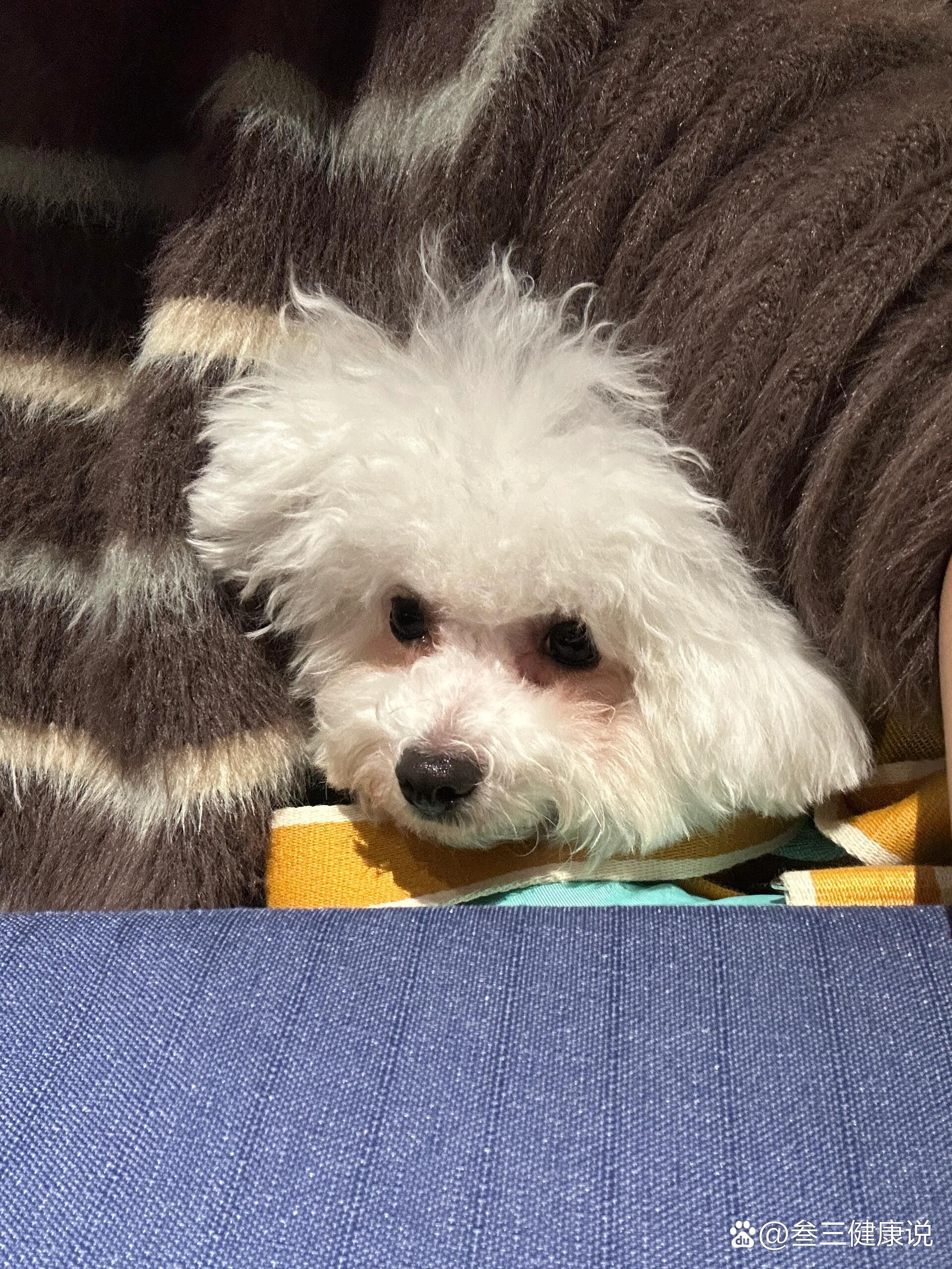 胳肢窝底下长出了白色腋毛