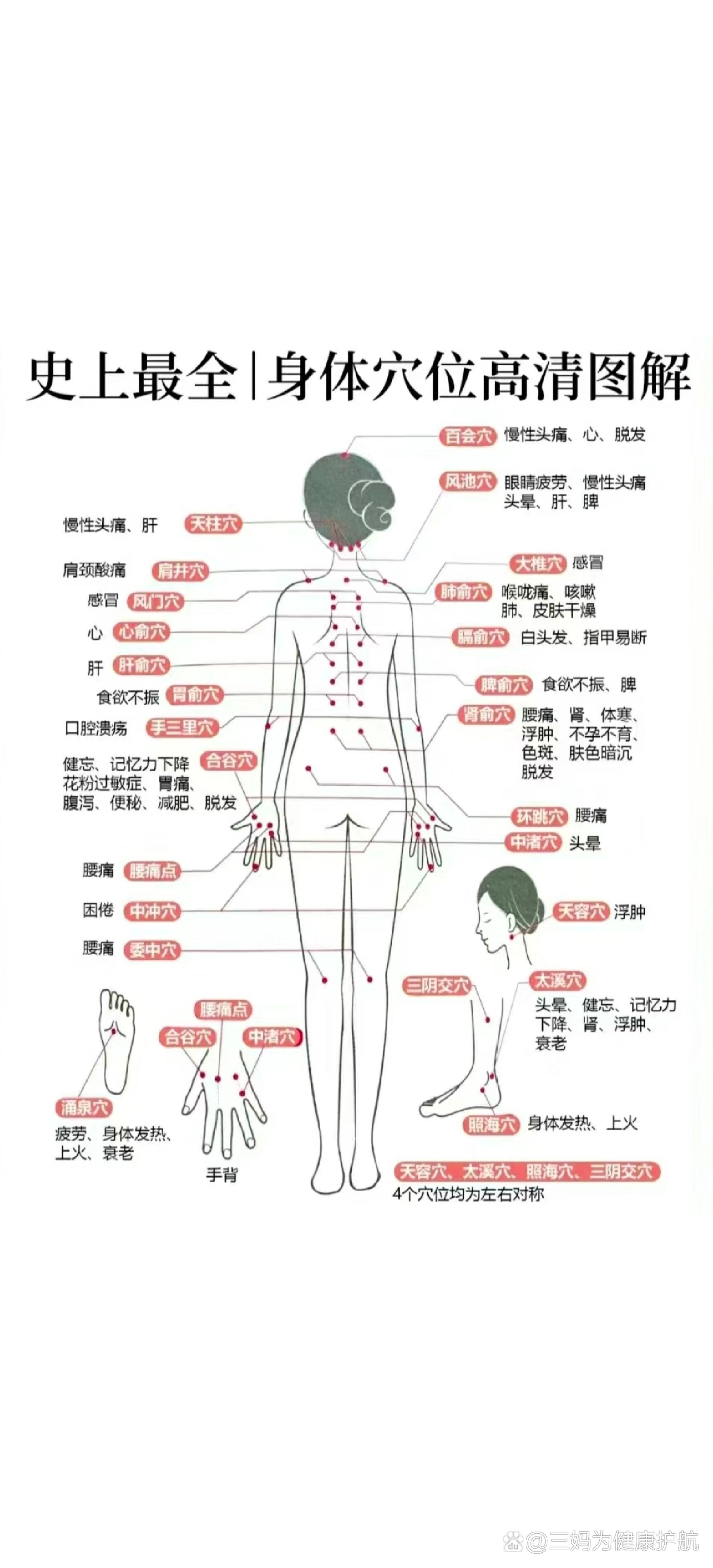 腰的准确位置示意图图片