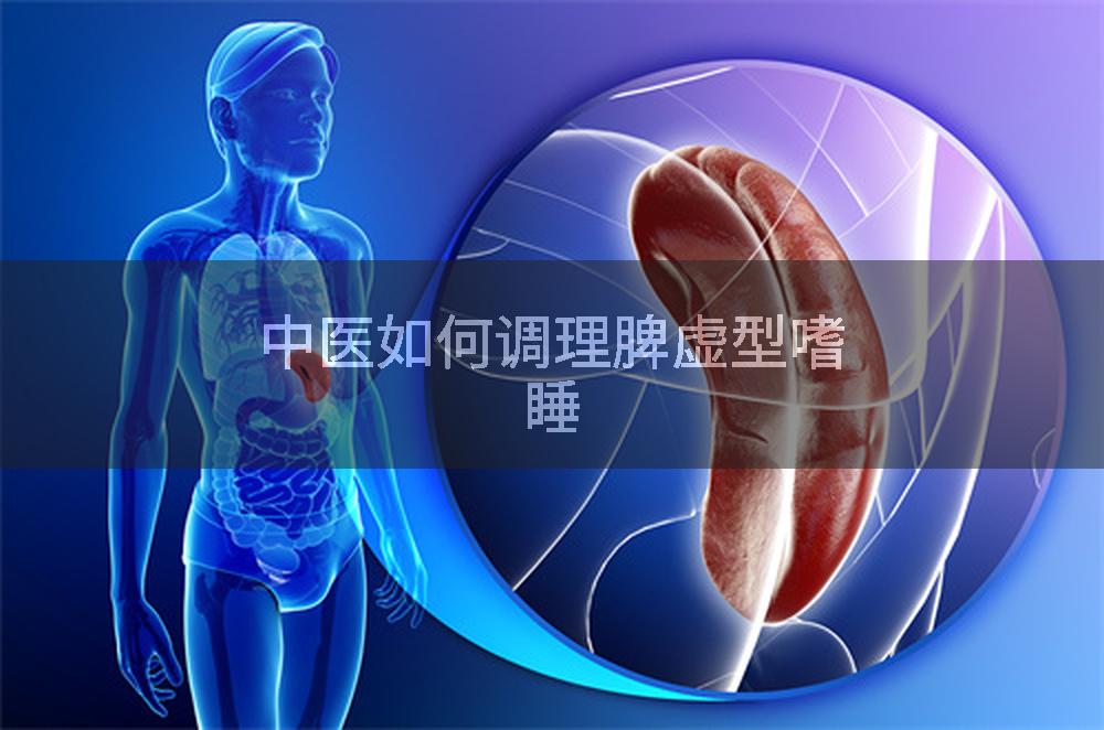 中医如何调理脾虚型嗜睡