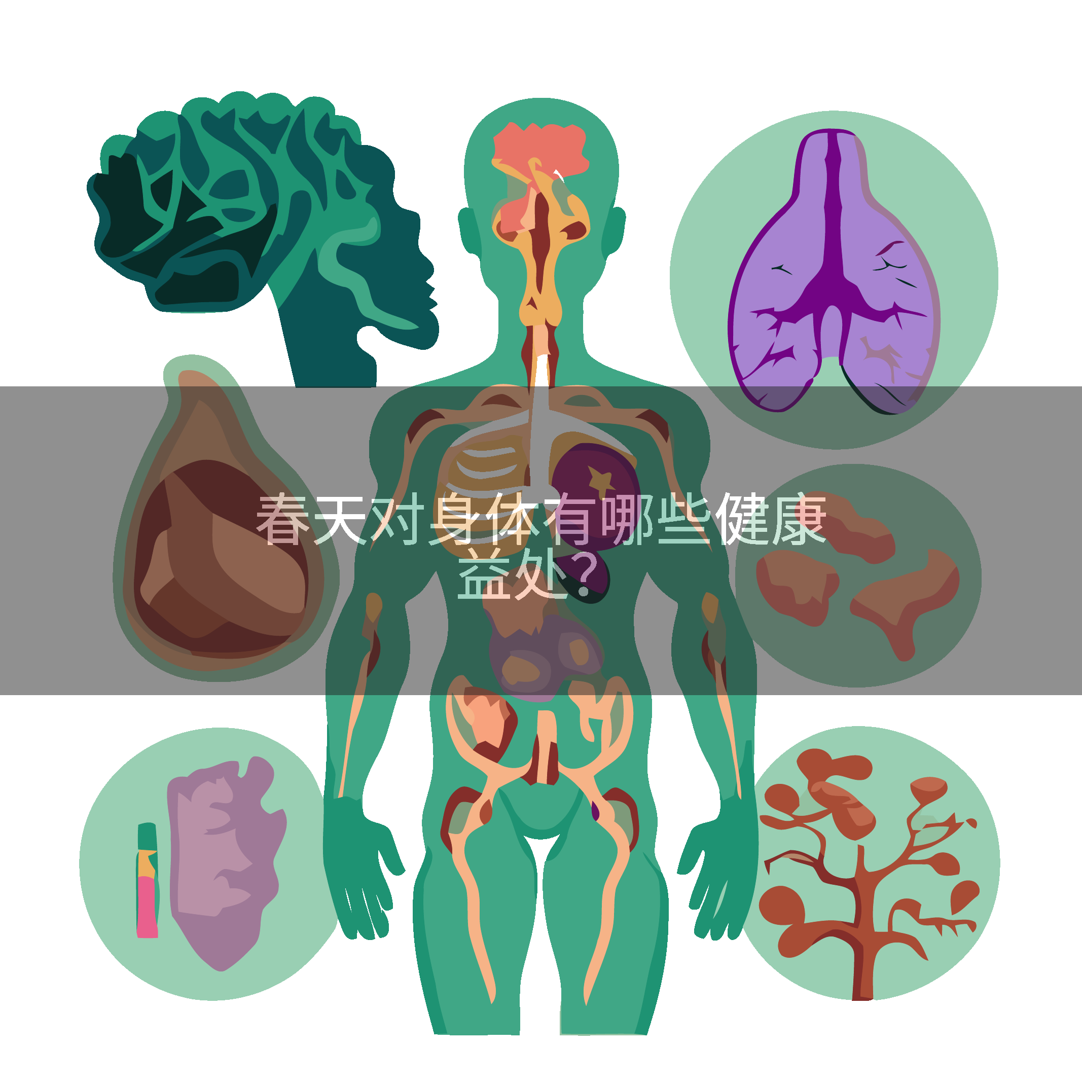 春天对身体有哪些健康益处？