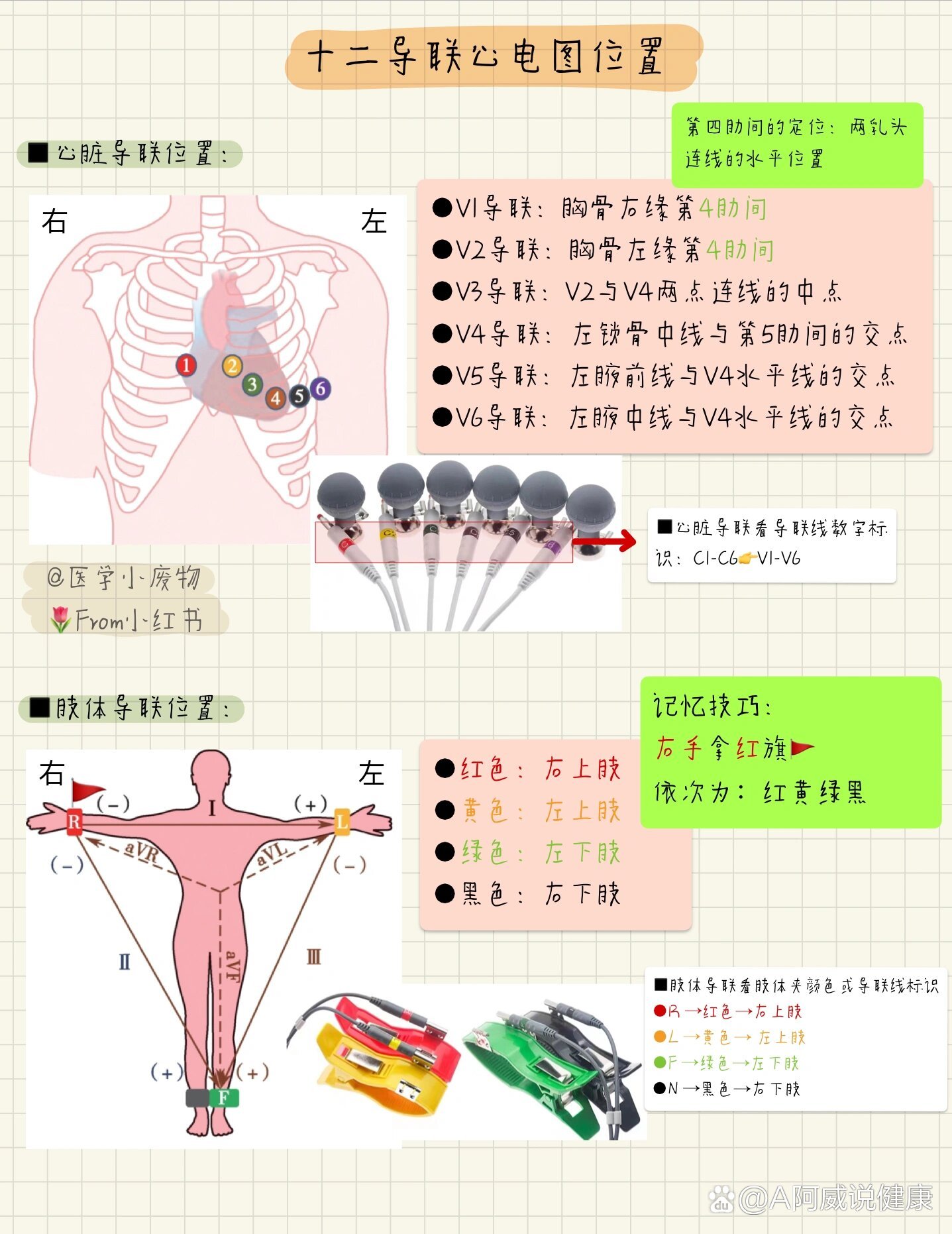 十八导心电图颜色位置图片