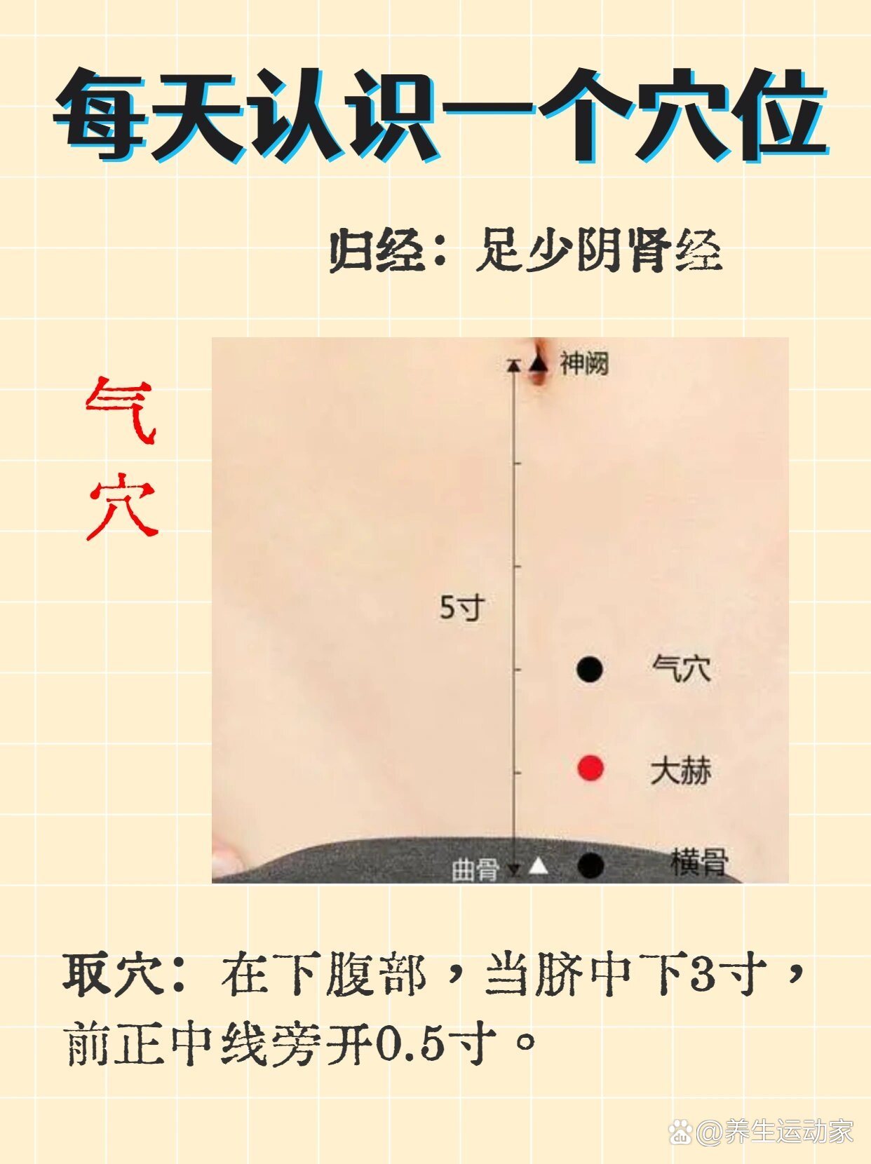 气端的准确位置图作用图片