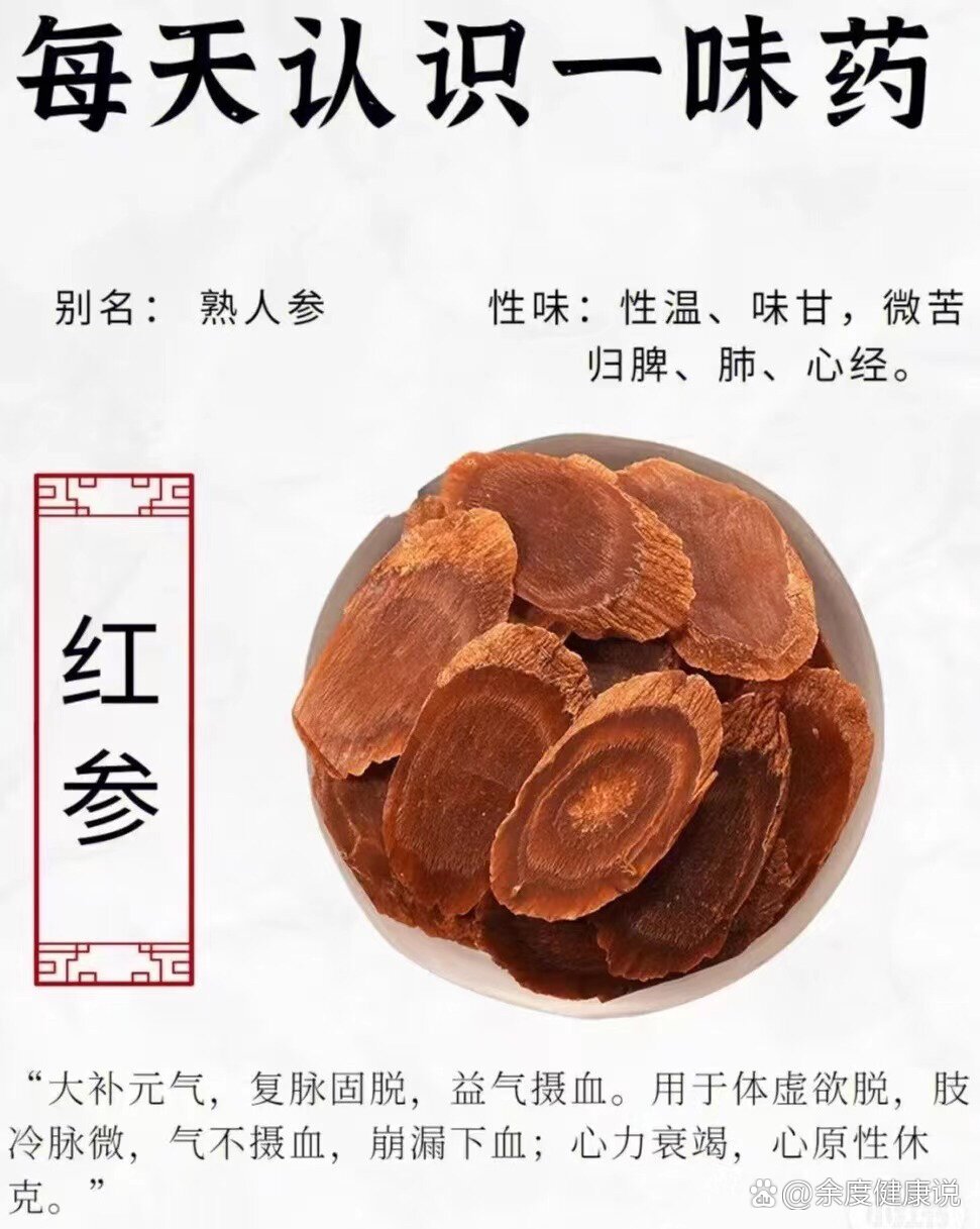 红参怎么吃效果最好图片