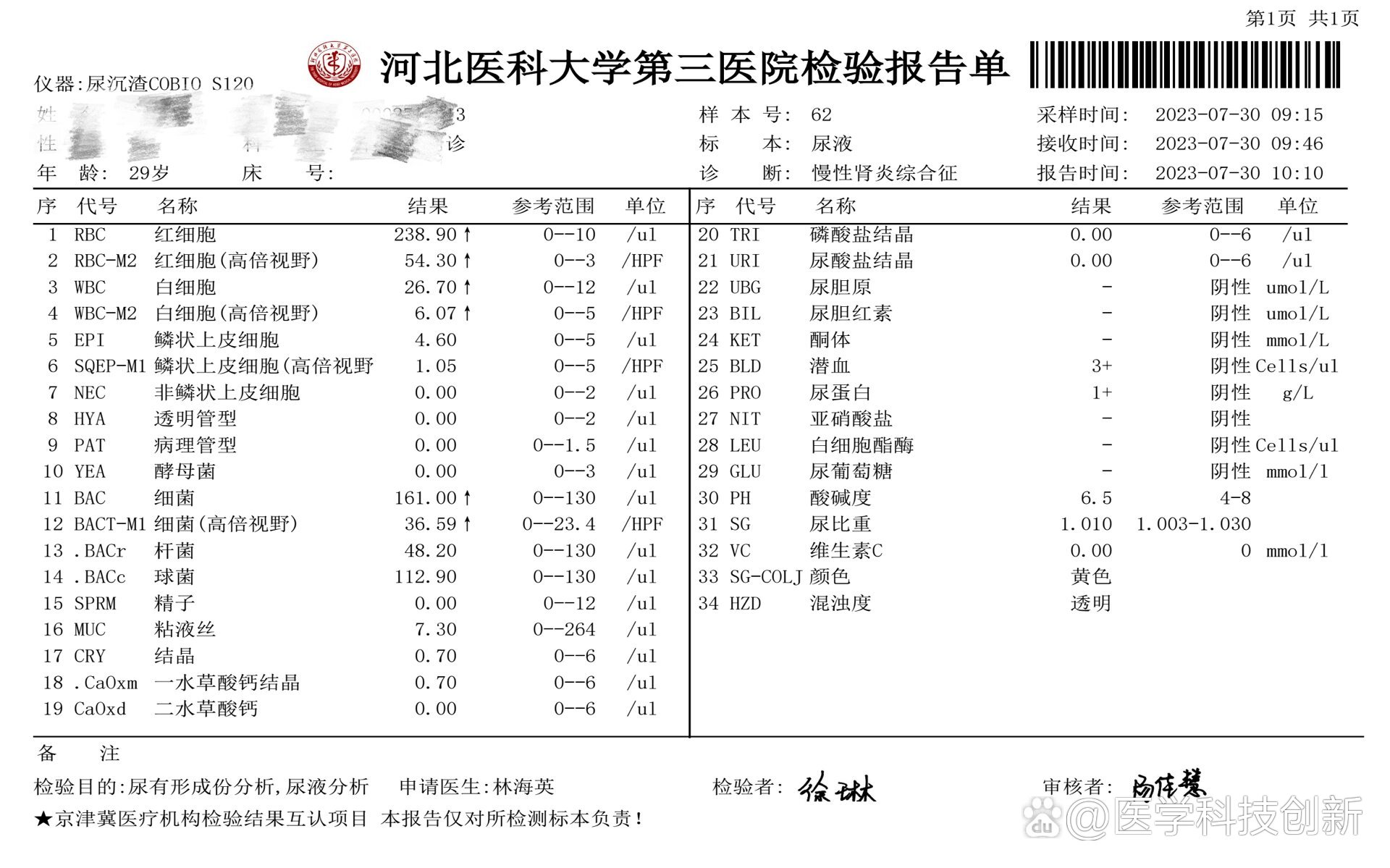 肾功能不全分四期图片