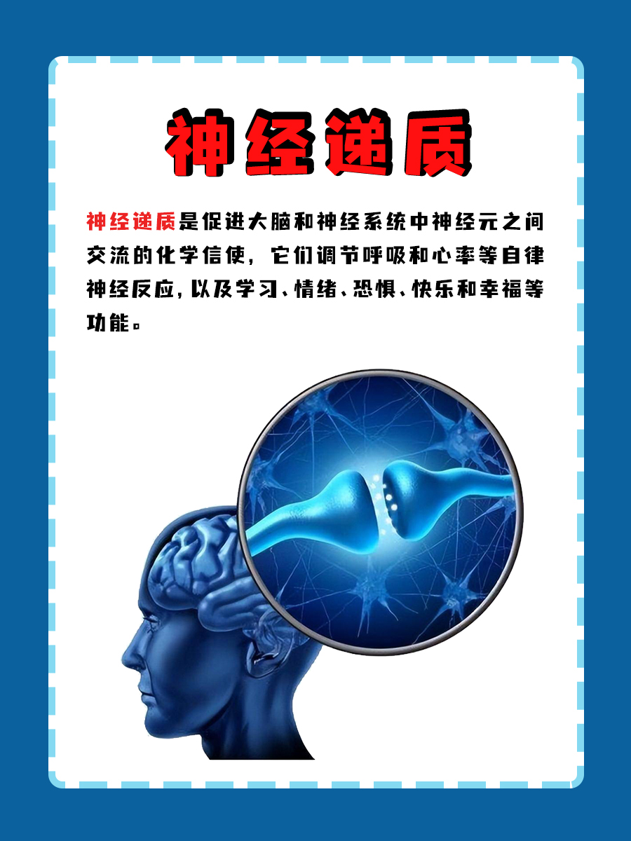 来看看:那些让我们快乐的神经递质
