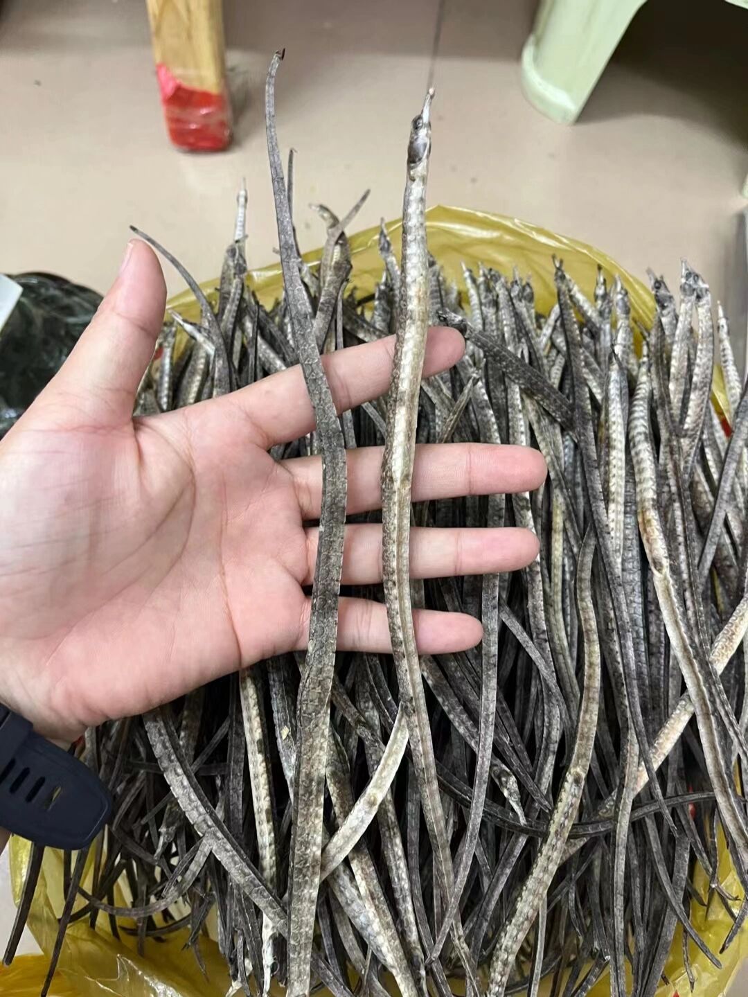 11566正宗活泡海龙酒一瓶50大条