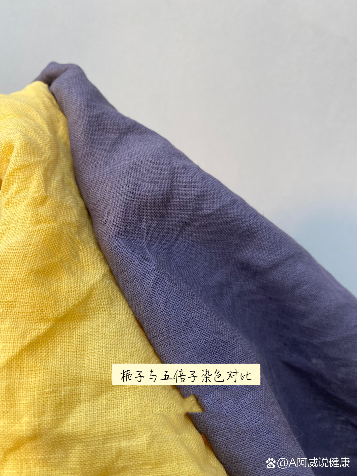 用五倍子染出1661516615种颜色