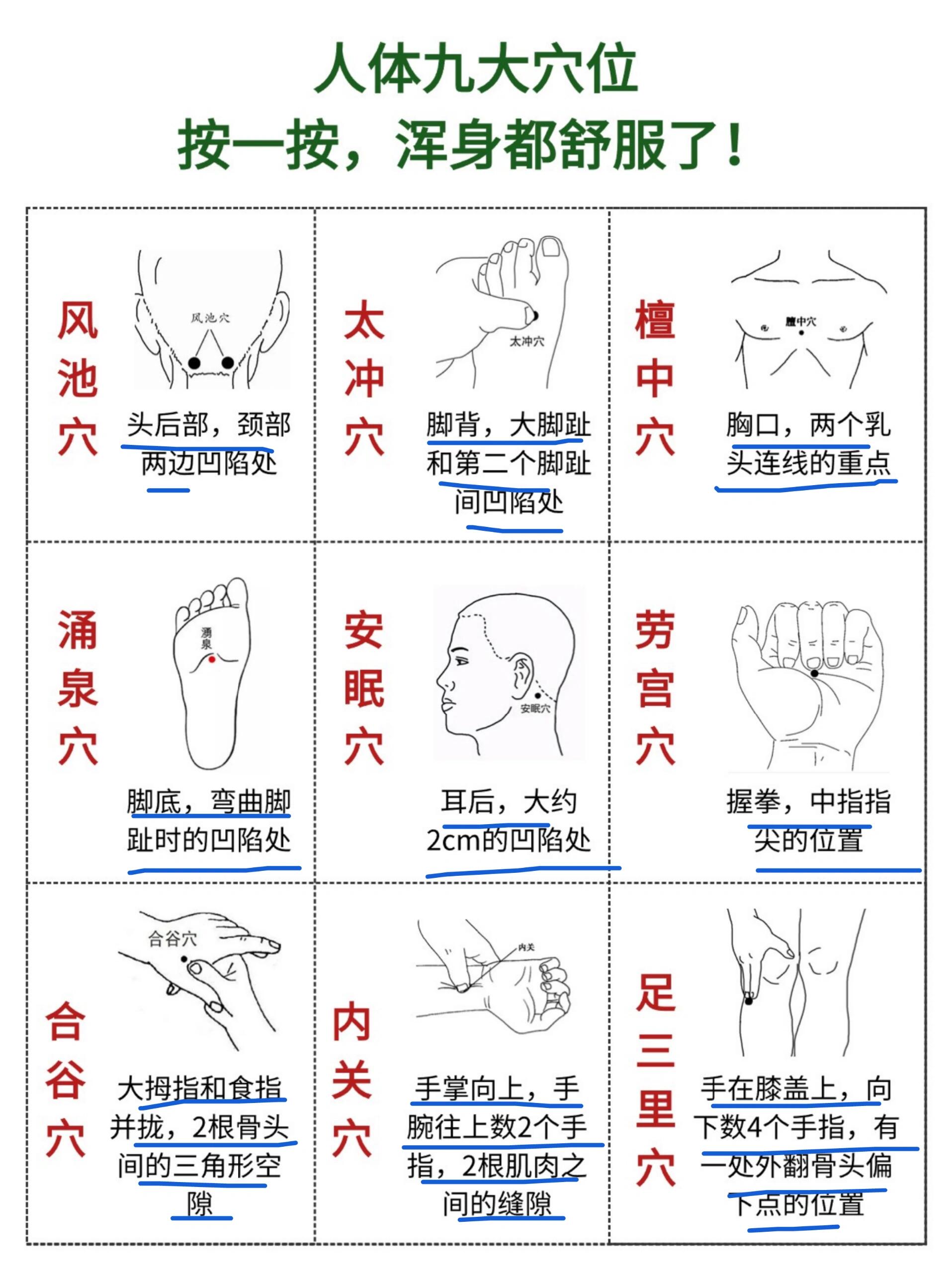 按摩百会的功效与作用图片