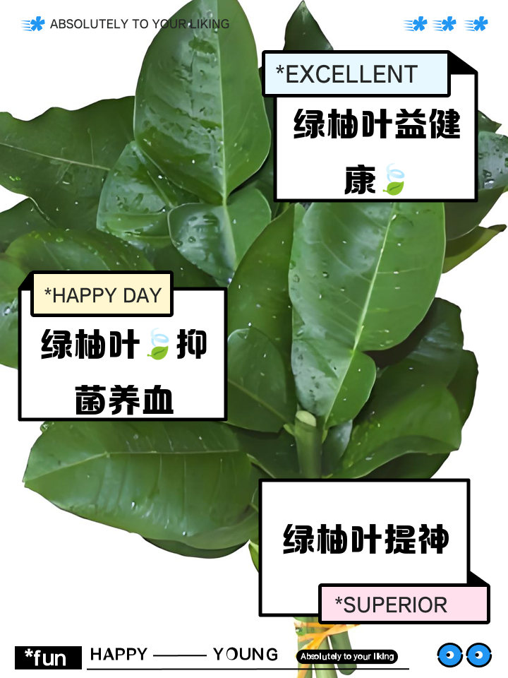 绿柚叶有什么好处