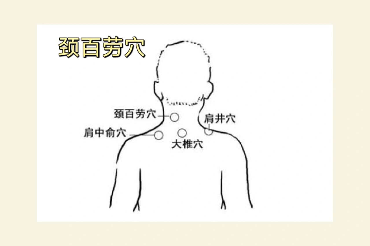 颈百劳的准确位置图图片