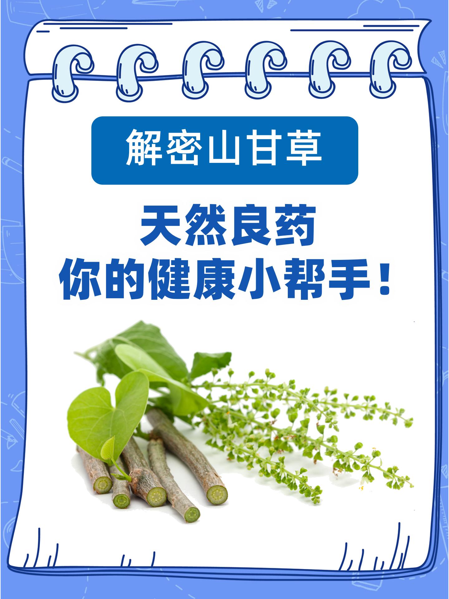 解密山甘草:天然良药,你的健康小帮手!