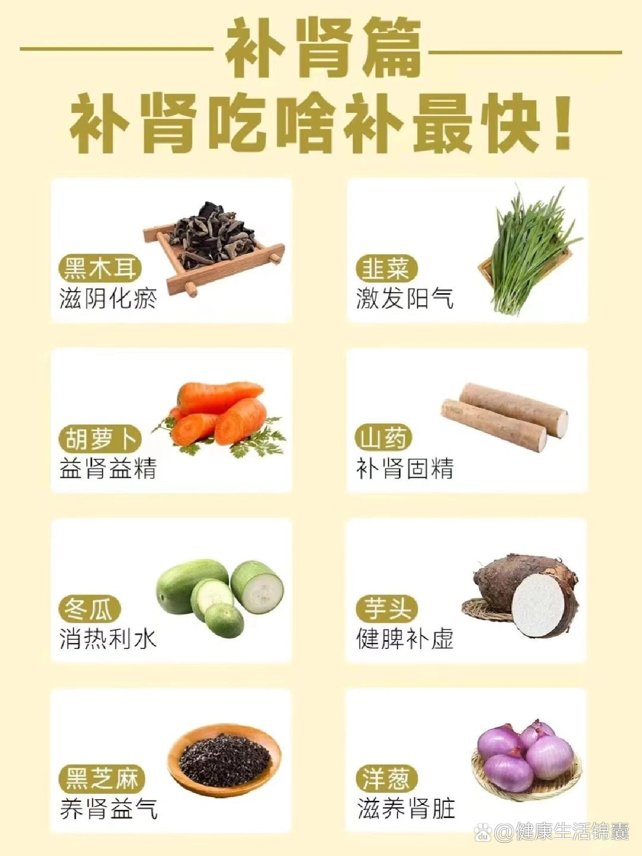 补肾吃什么食疗(补肾吃什么食物效果)