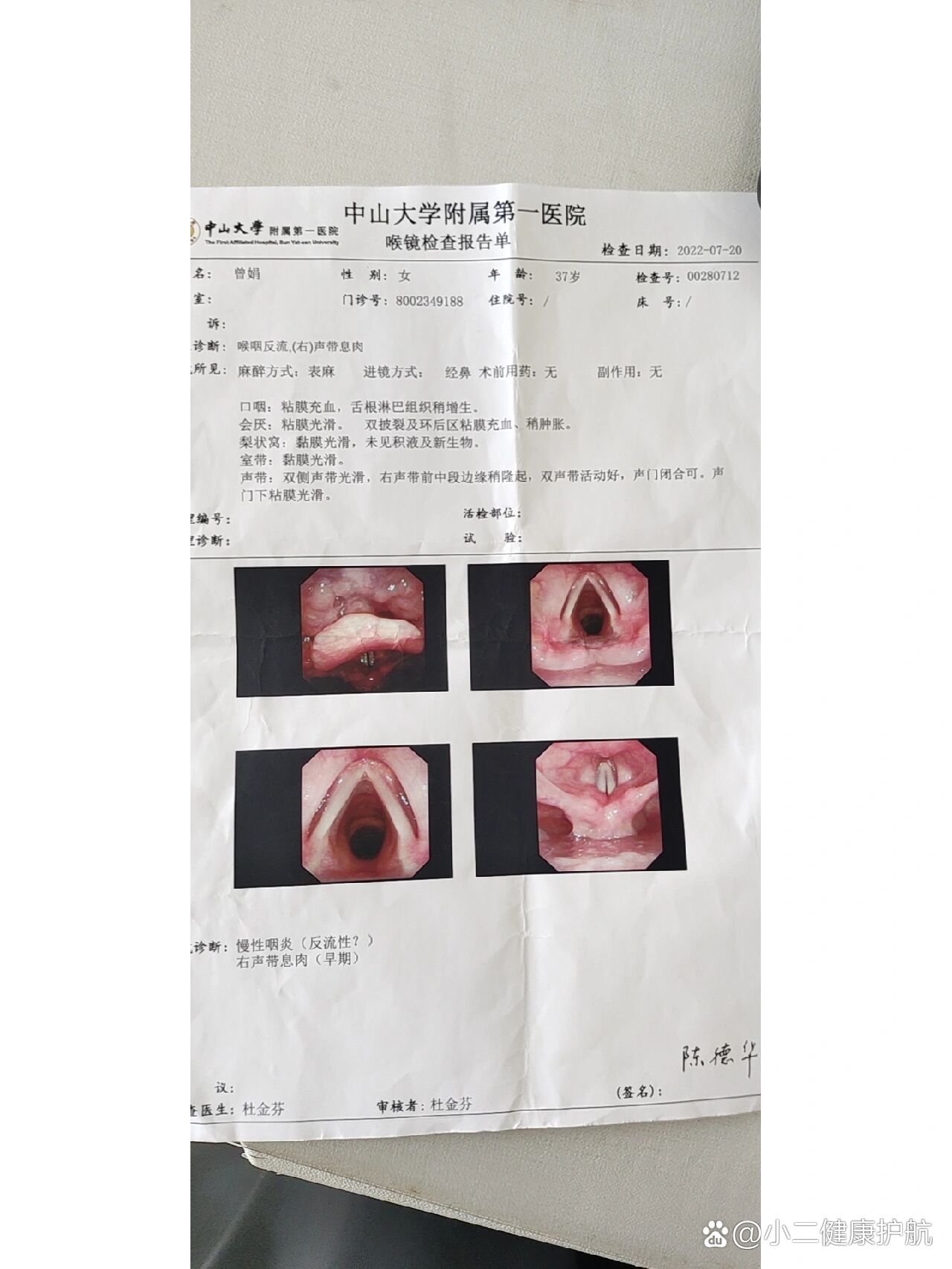 犬声带切除术教程图片