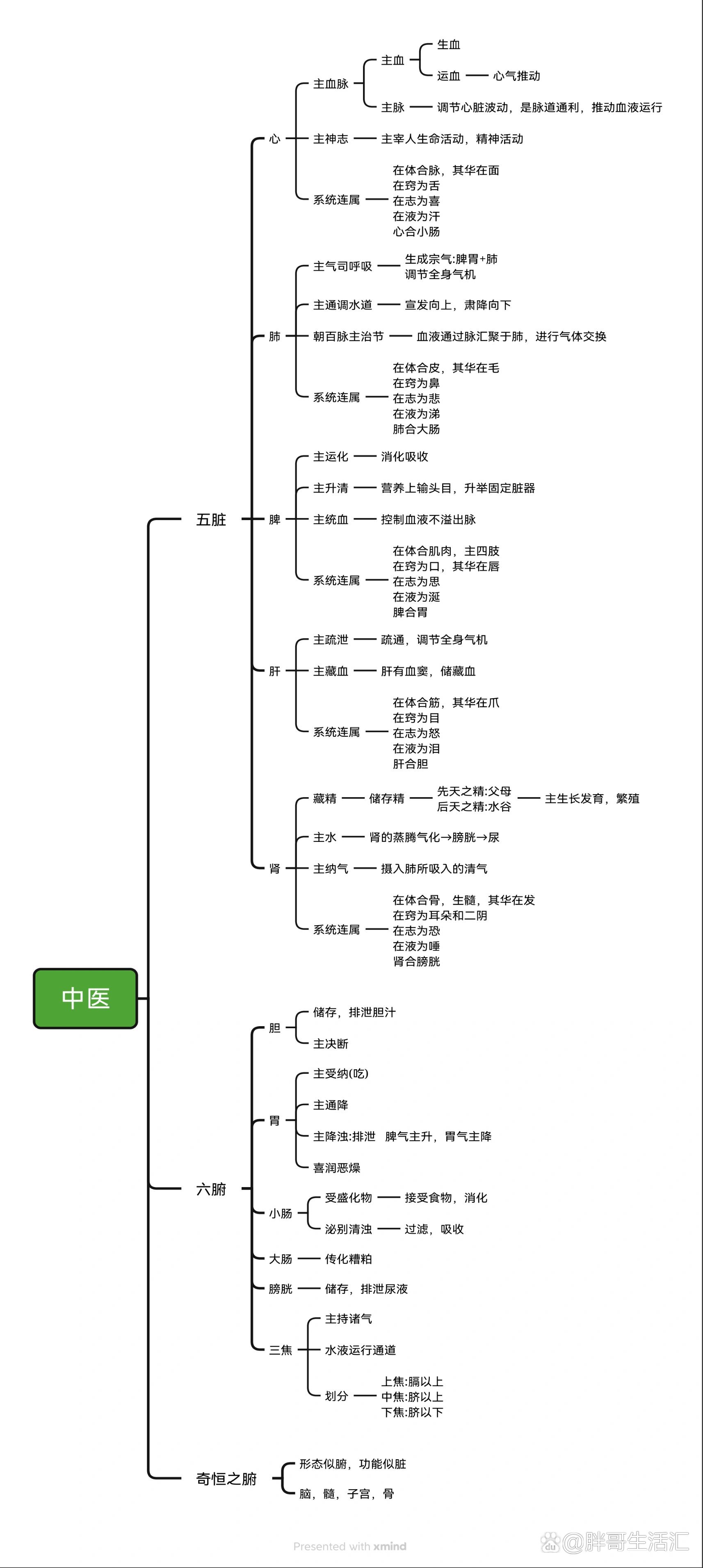 眉毛对应五脏六腑图图片