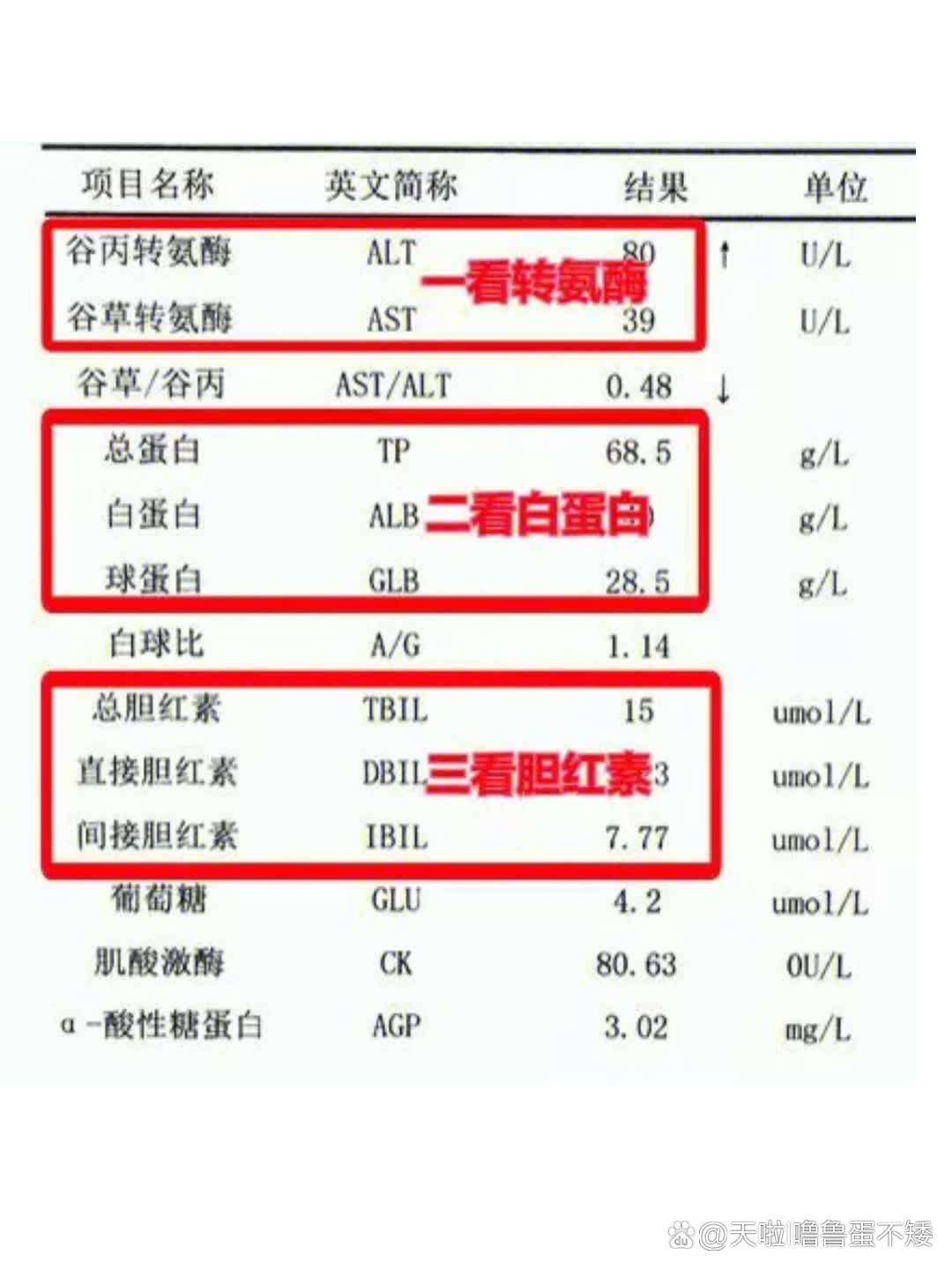 肝功能化验单 正常值图片