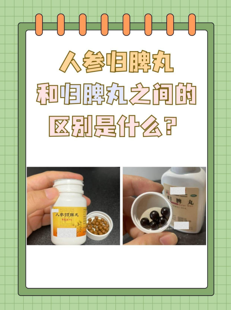 归脾丸的组成图片