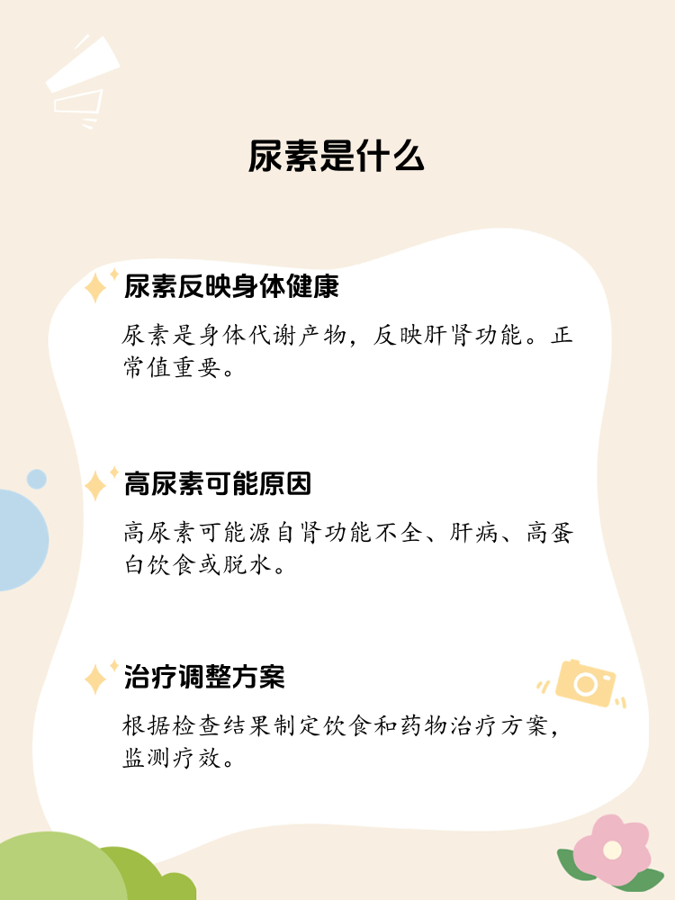 尿素肌酐 全网资源
