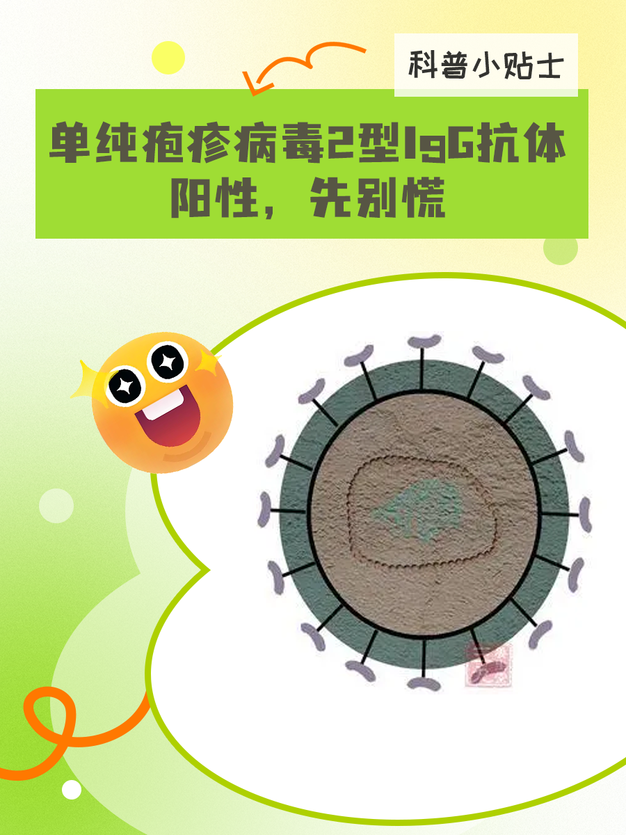 单纯疱疹病毒2型igg抗体阳性