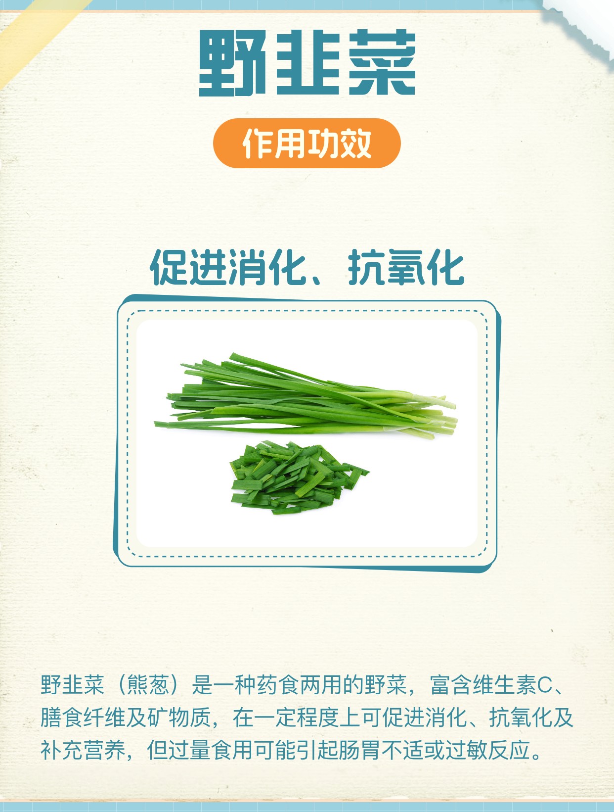 野韭菜的功效与作用和副作用| 百度健康·医学科普